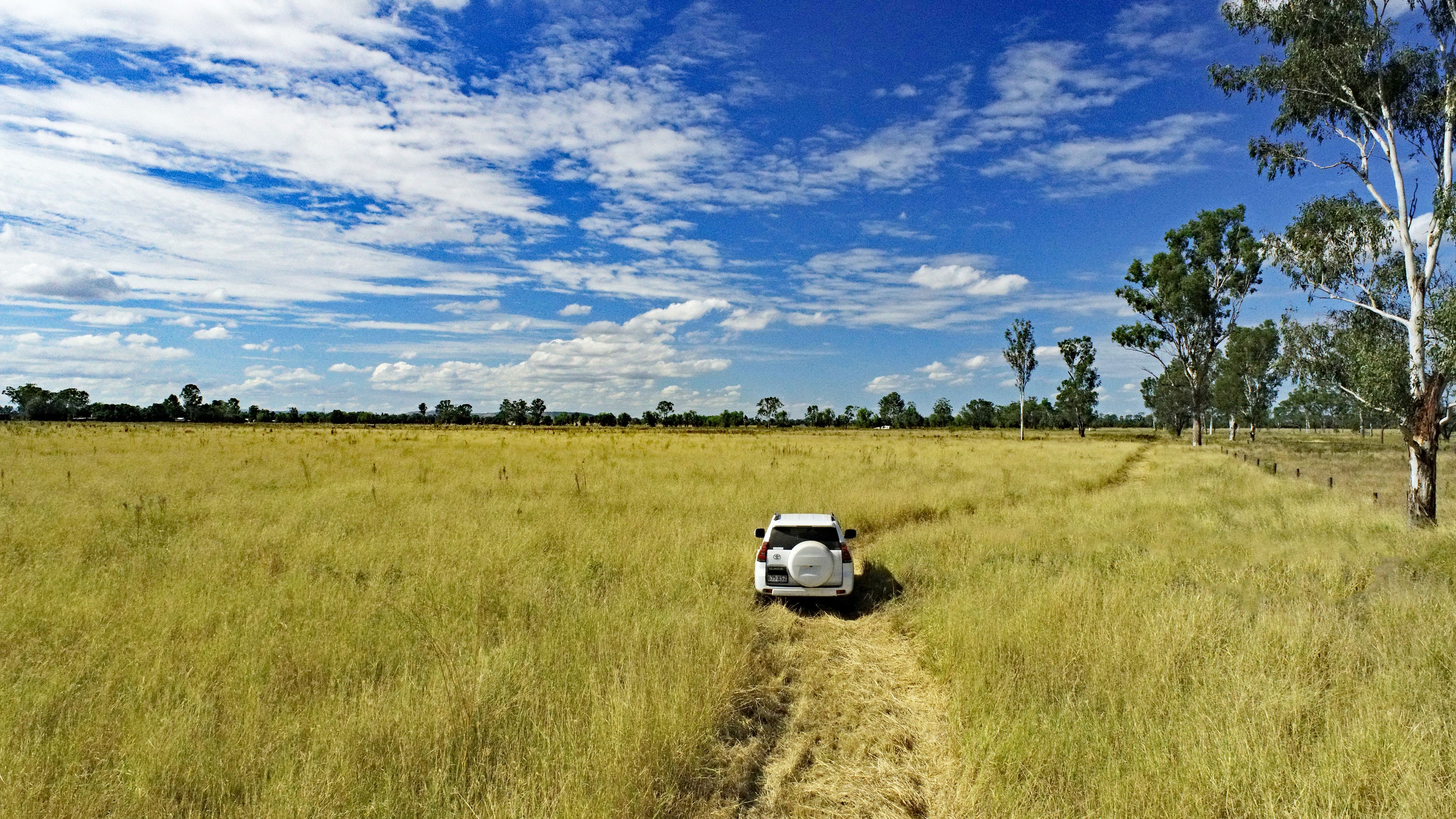 Hillgrove/12252 Dawson Highway, Prospect, QLD 4715 Sold Rural