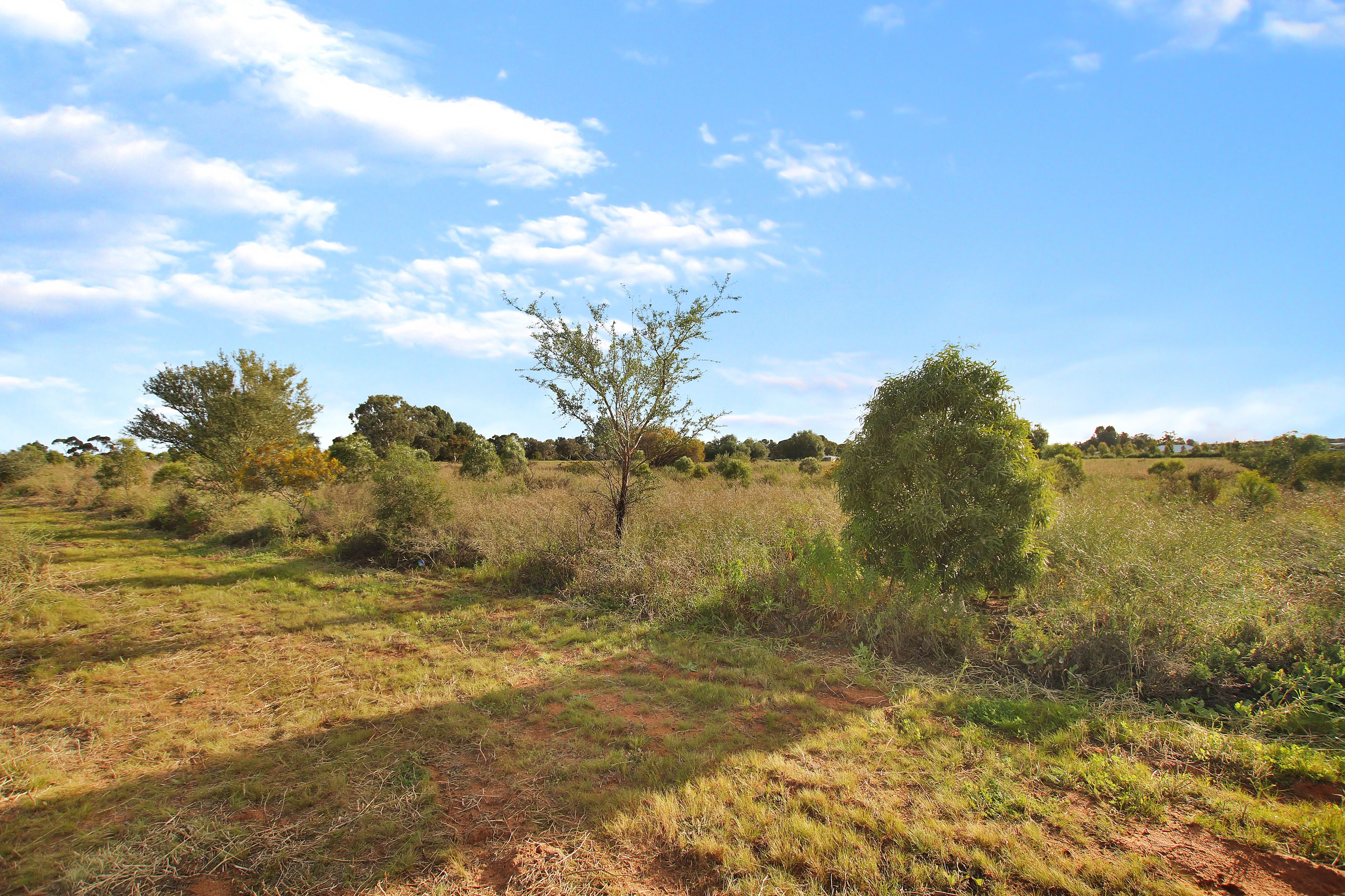 89 Playford Road — photo 9 of 11