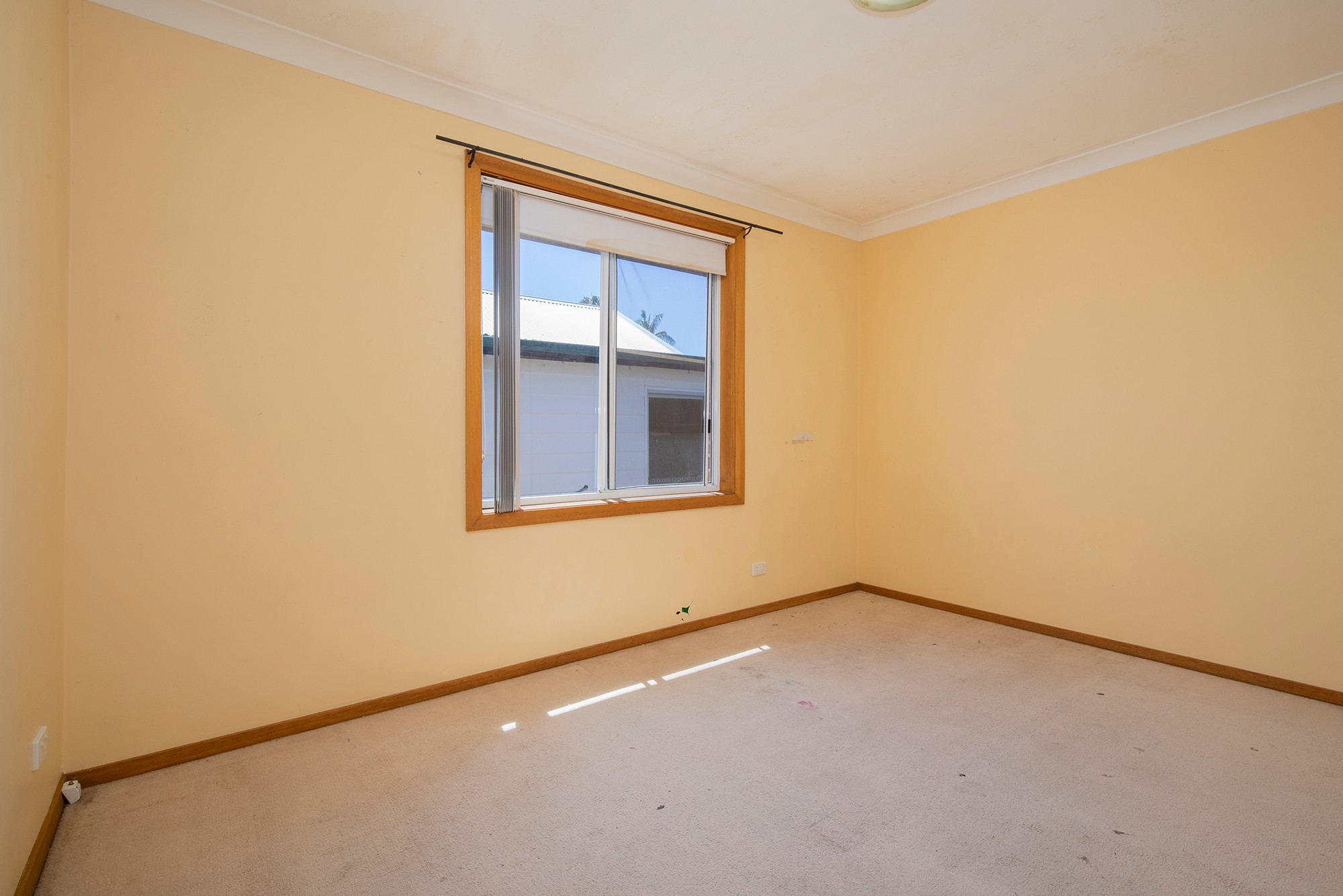 10 Buxton Street, Adamstown, NSW 2289