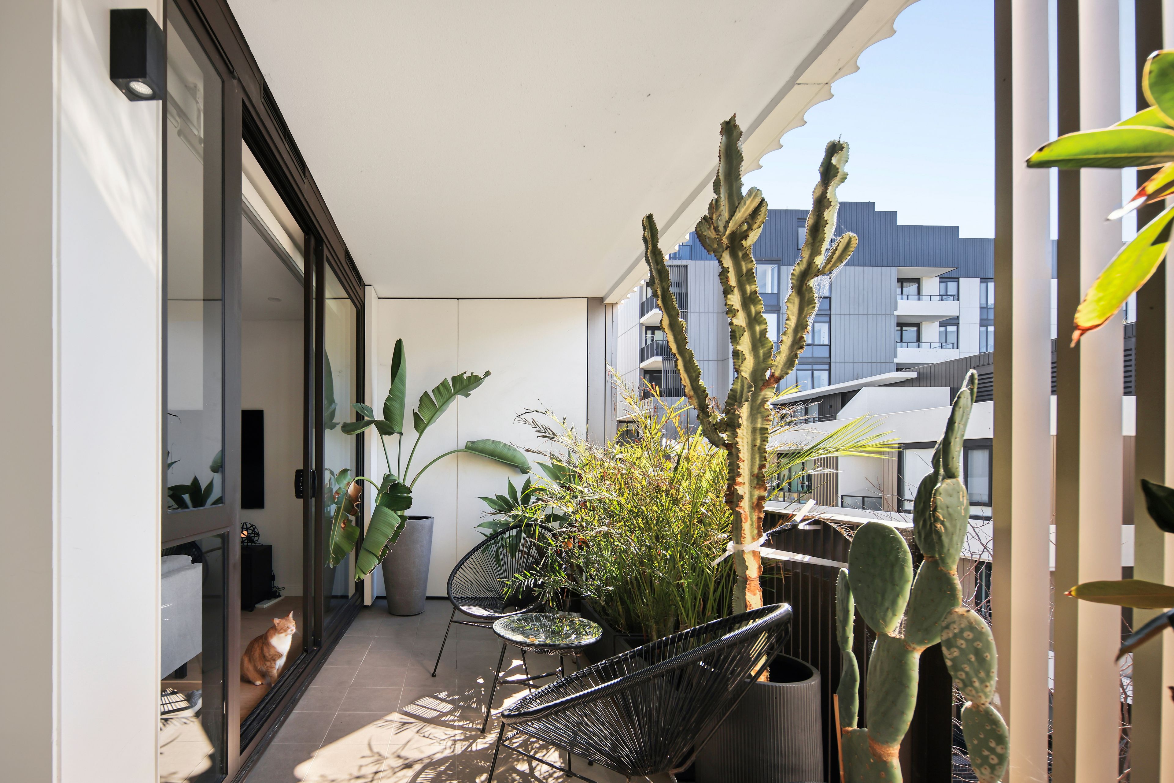 343/5 Stovemaker Lane — photo 3 of 5