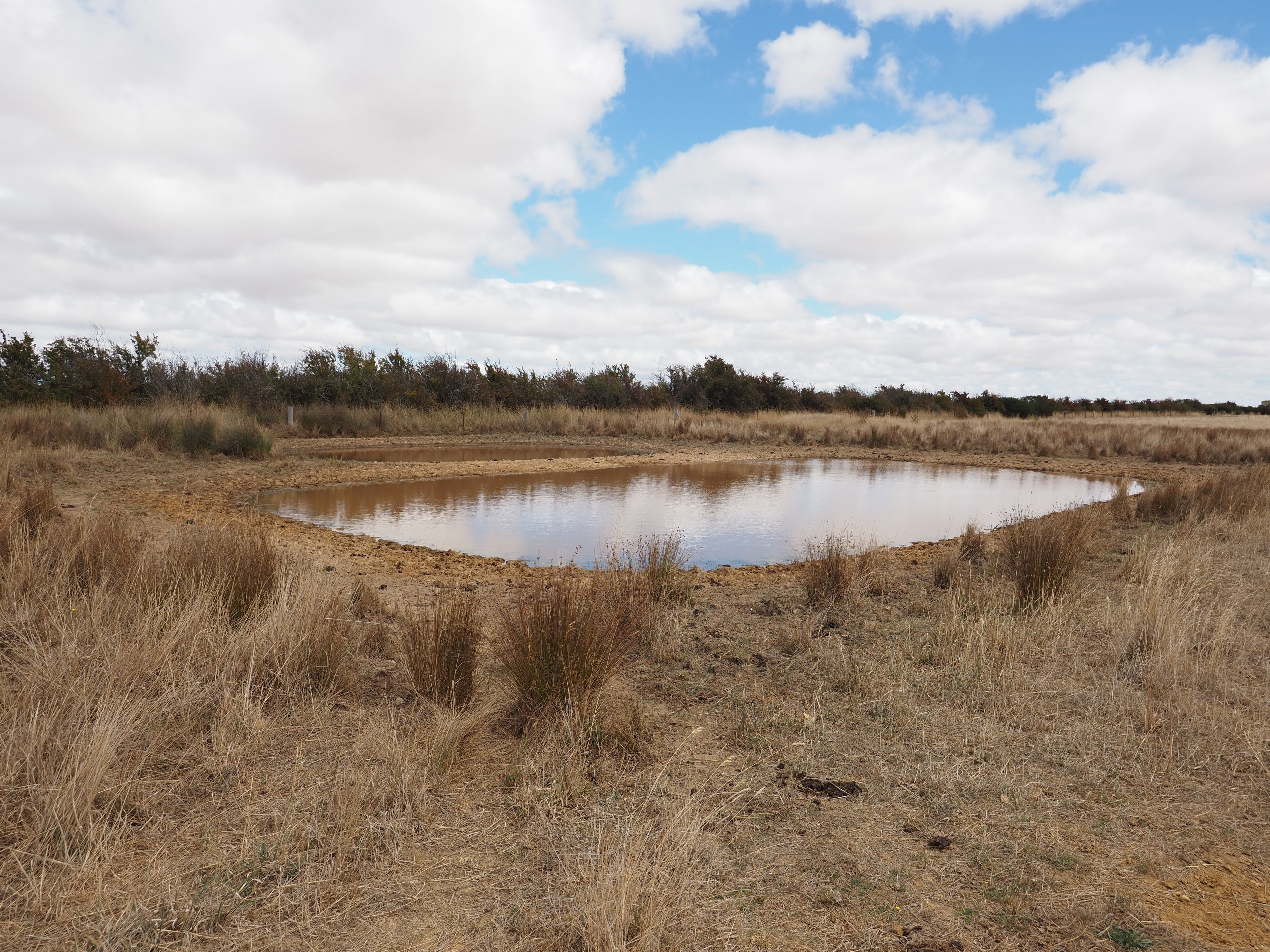 1700 Colac Road, Rokewood, VIC 3330