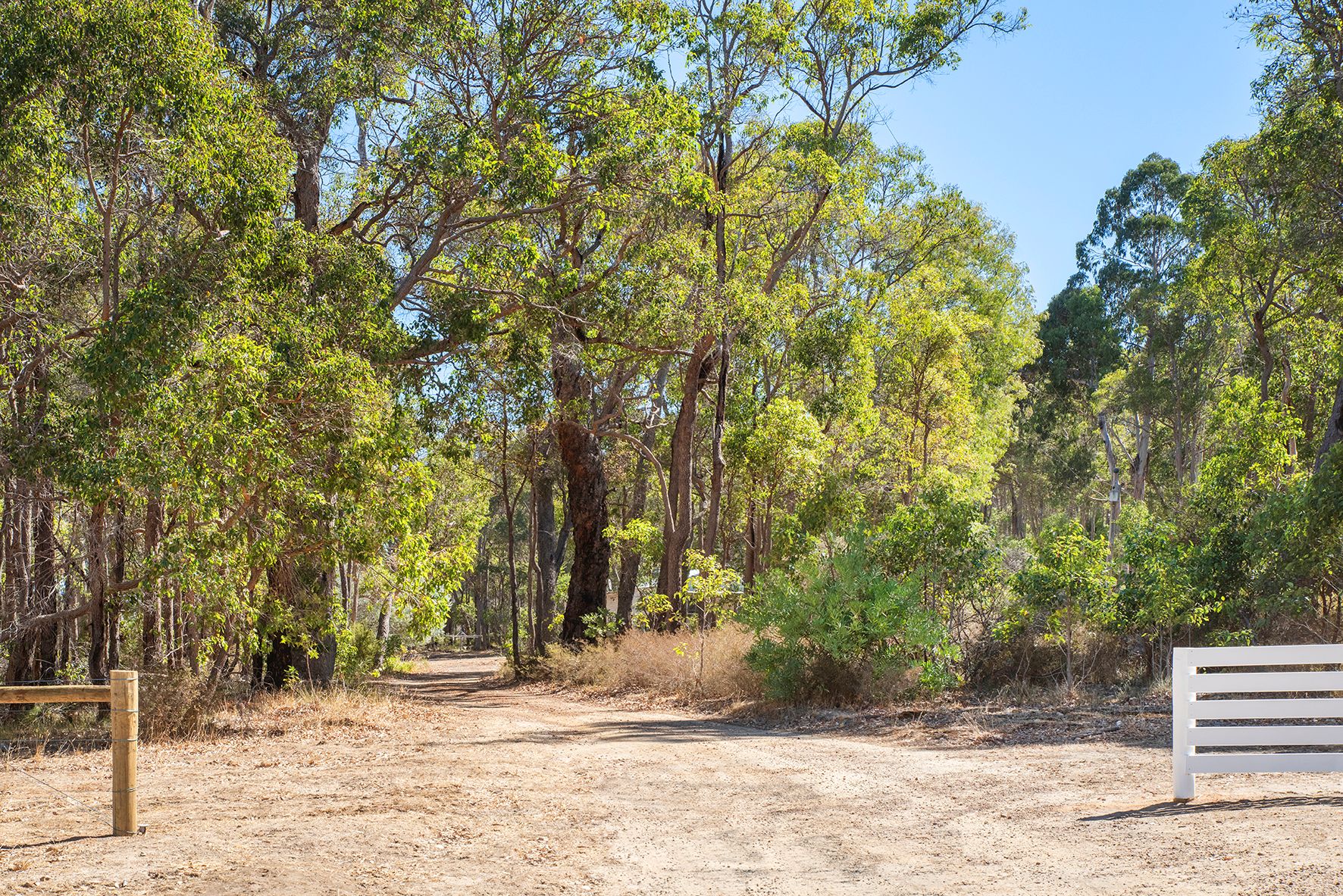 PL 23, 126 Hearn Road, Osmington, WA 6285 House for Sale Ray White