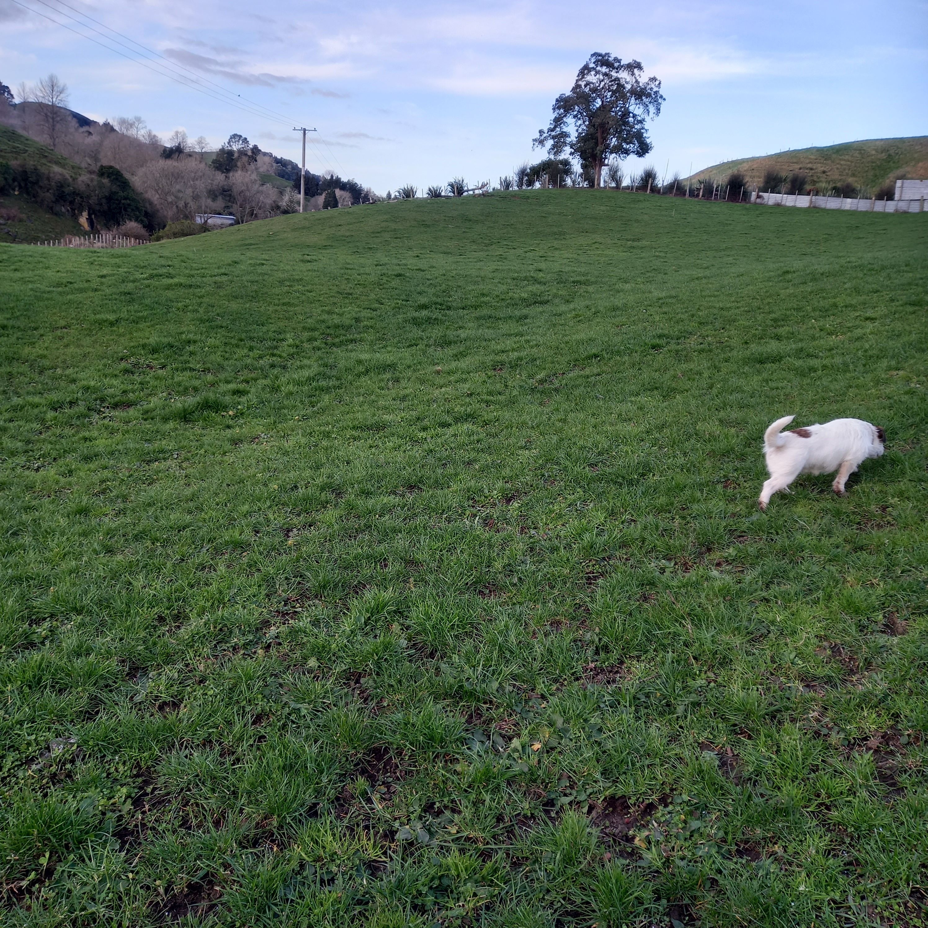 Lot 1, 627 Waitomo Valley Road, Otorohanga, Otorohanga District