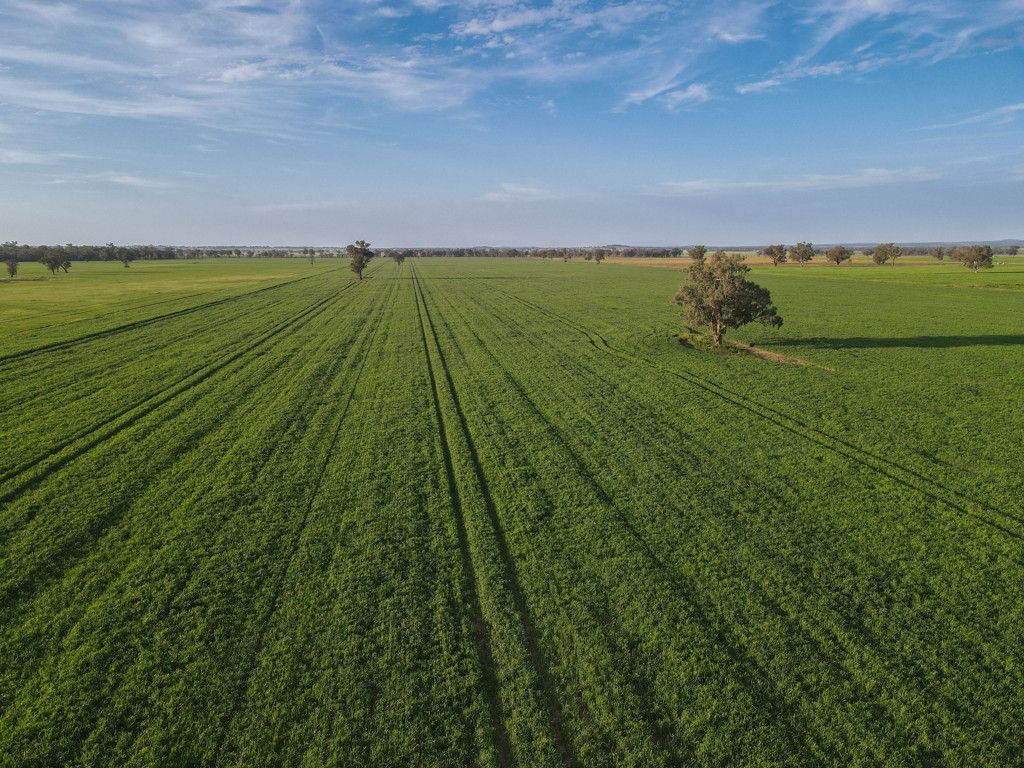 Part "Lima" 11025 The Escort Way, Forbes, NSW 2871