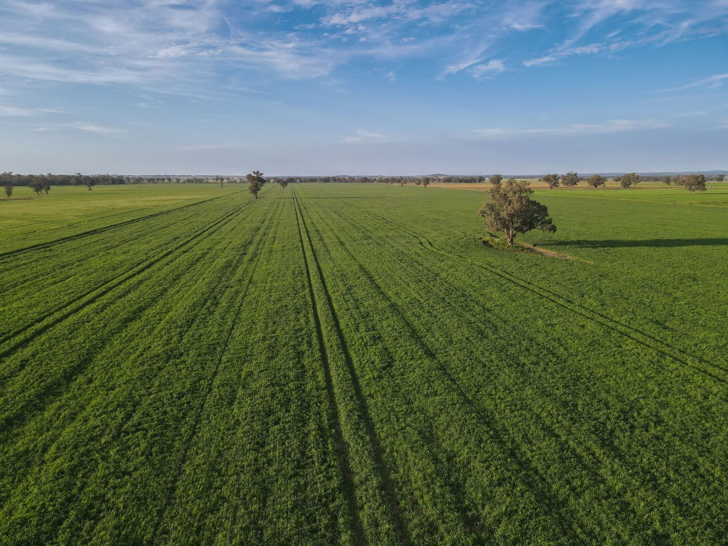 Part "Lima" 11025 The Escort Way, Forbes, NSW 2871