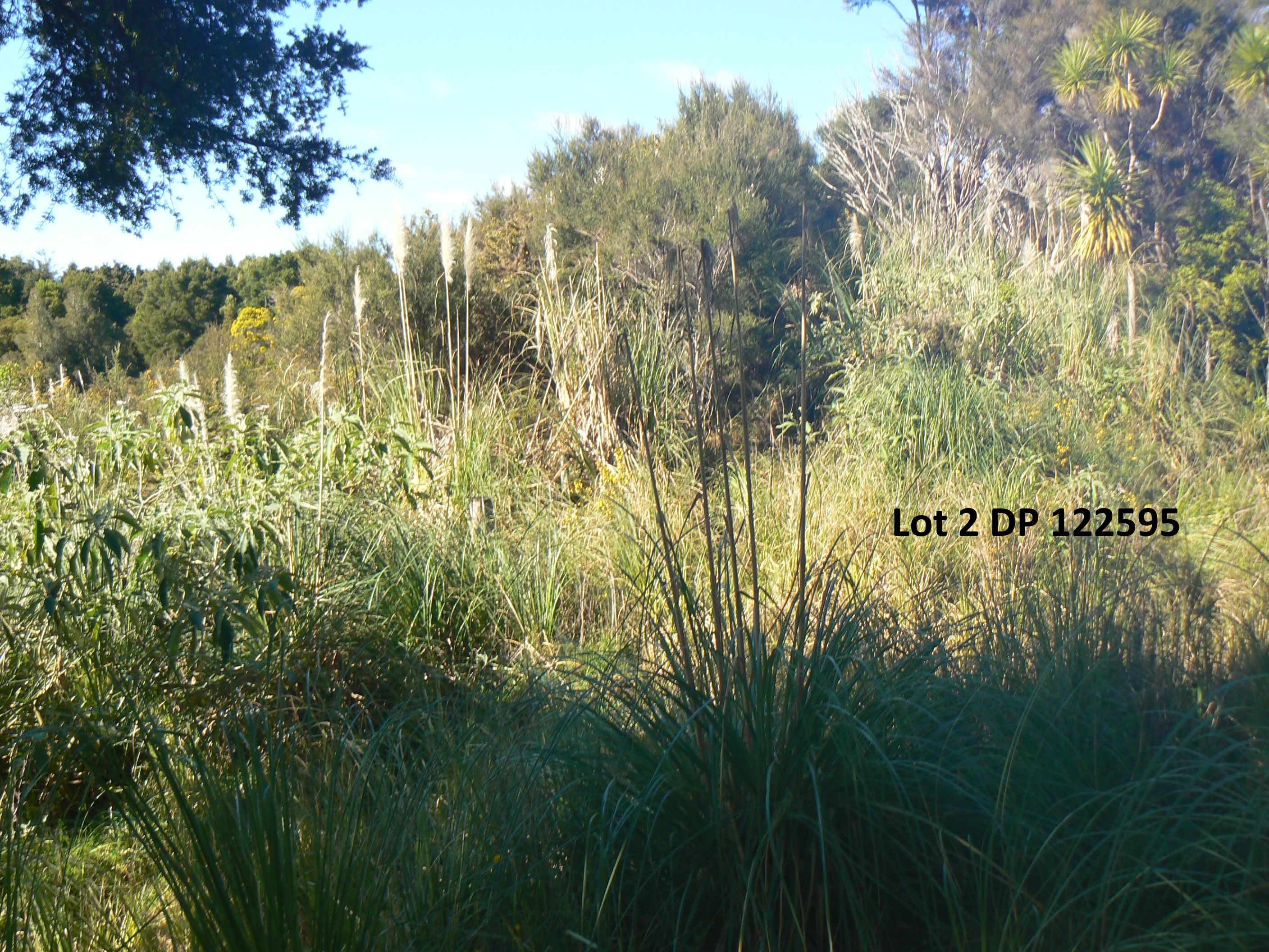 Lot 2/3 Duddy Road, Kaikohe, Far North District