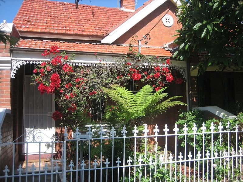 105 Clarendon Road, Stanmore, NSW 2048