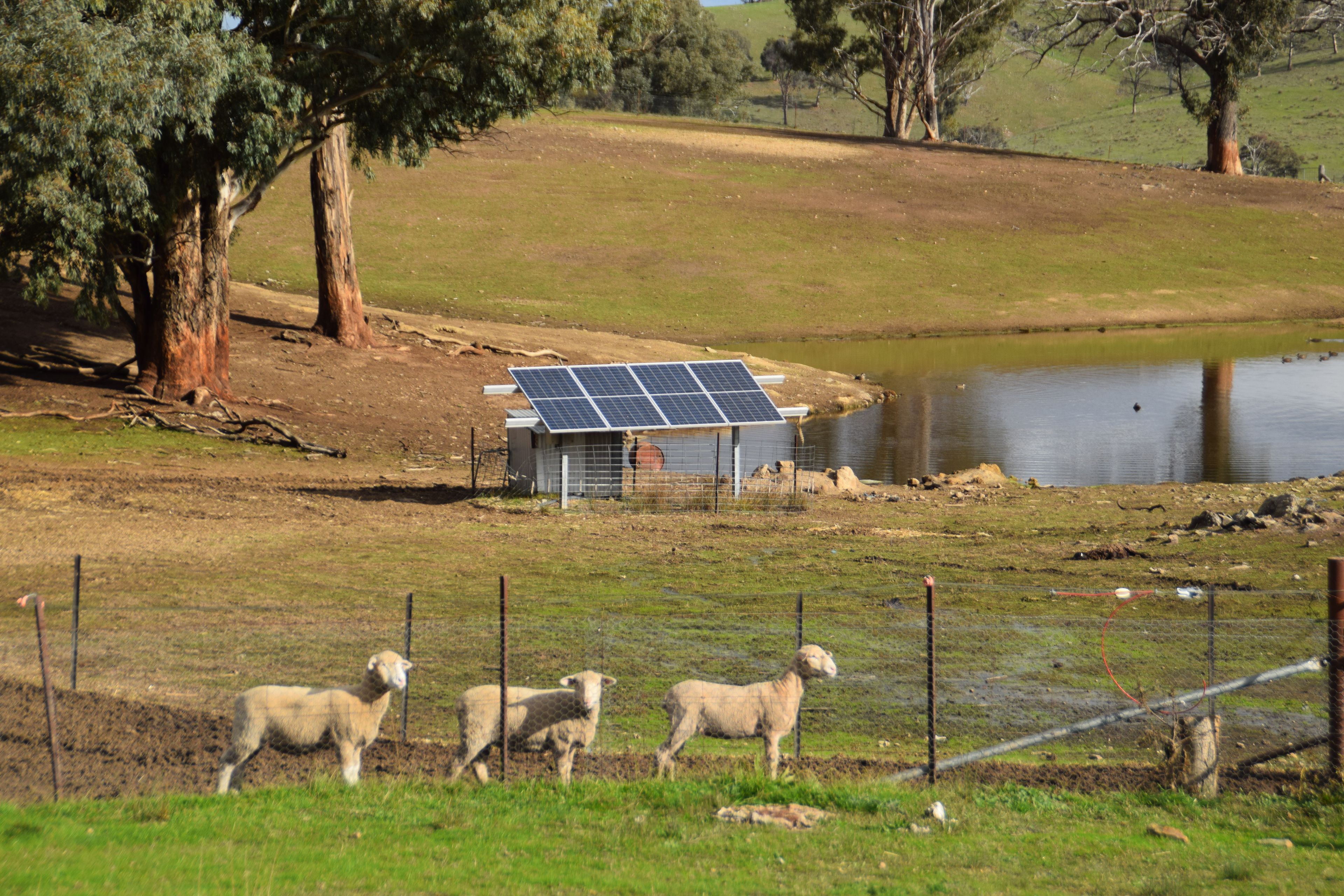 'Morella' 1257 Bundalah Road — photo 5 of 29