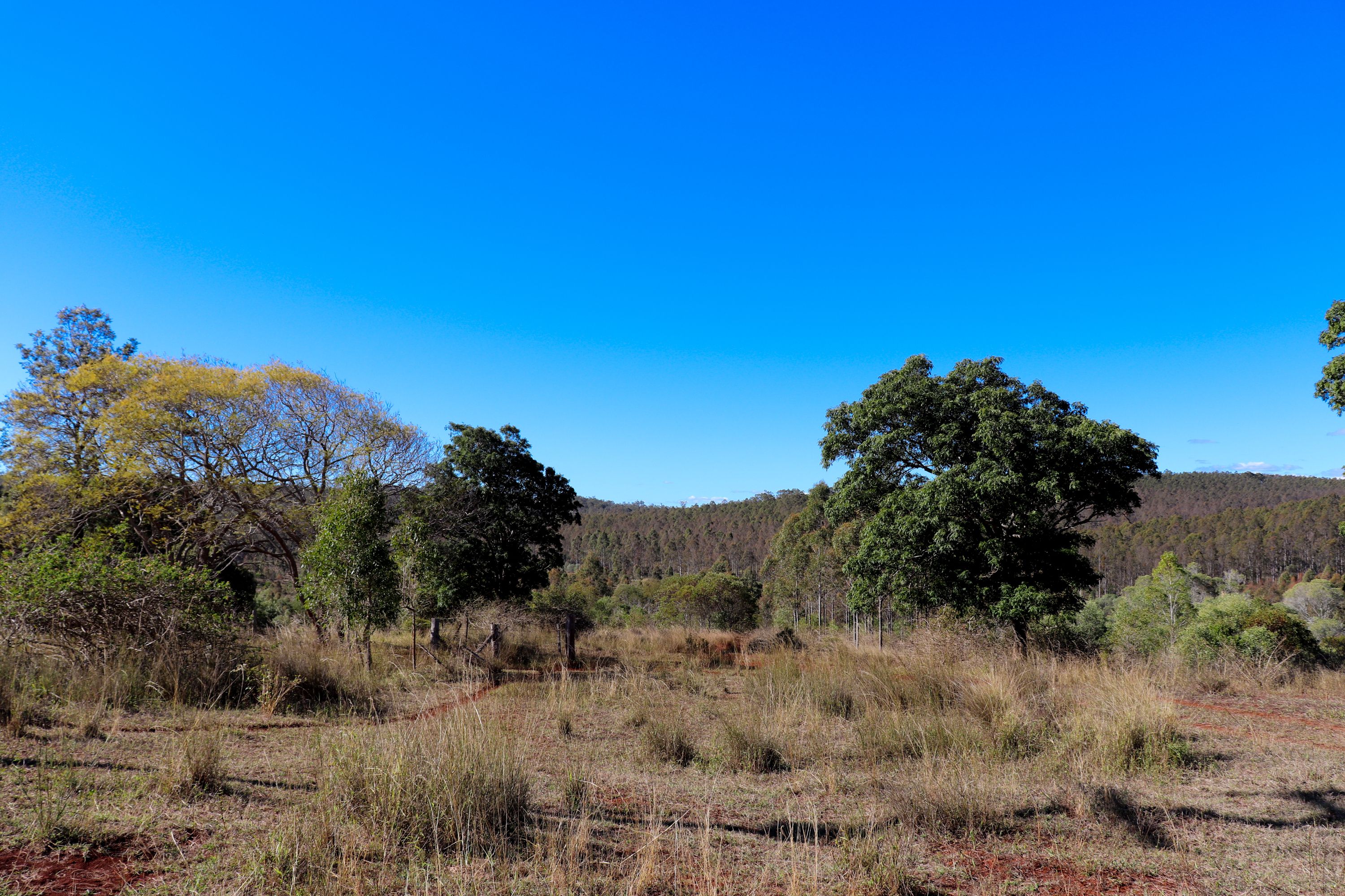 'Cole' Cobbs Hill Road, Murgon, QLD 4605 Sold Rural Livestock