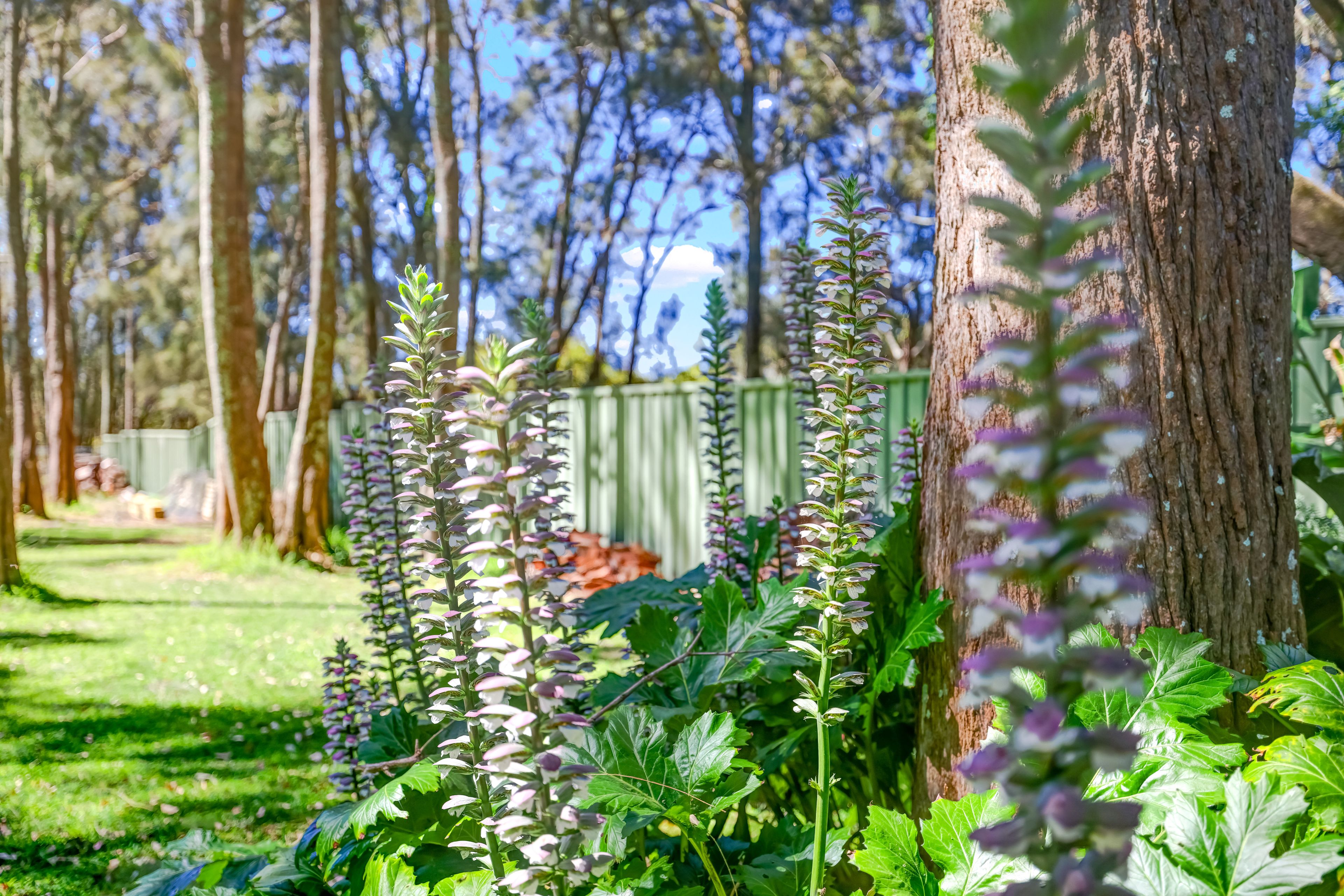 3 Brighton Parade, Culburra Beach, NSW