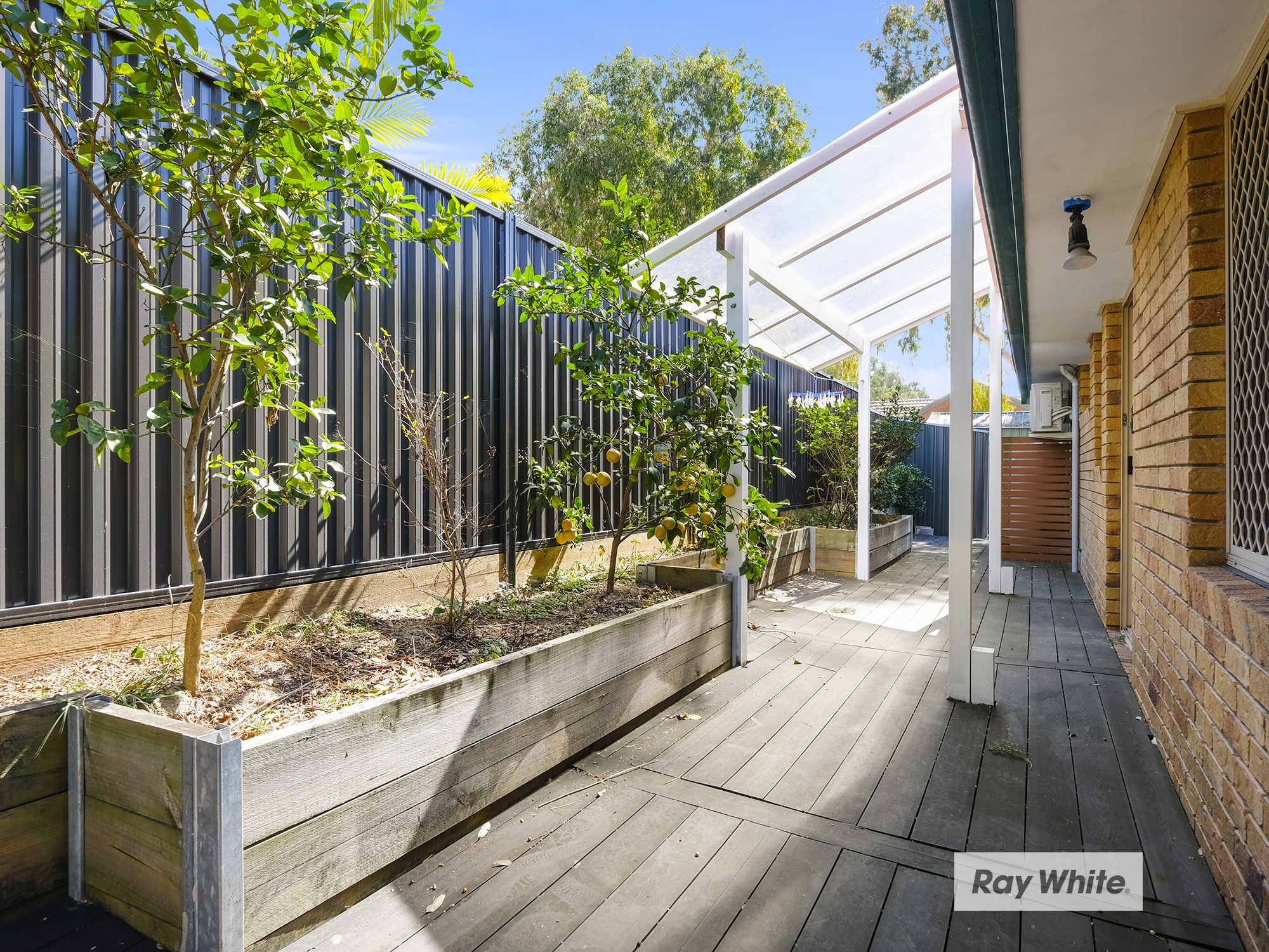 62 Jindabyne Circuit, Forest Lake, QLD 4078