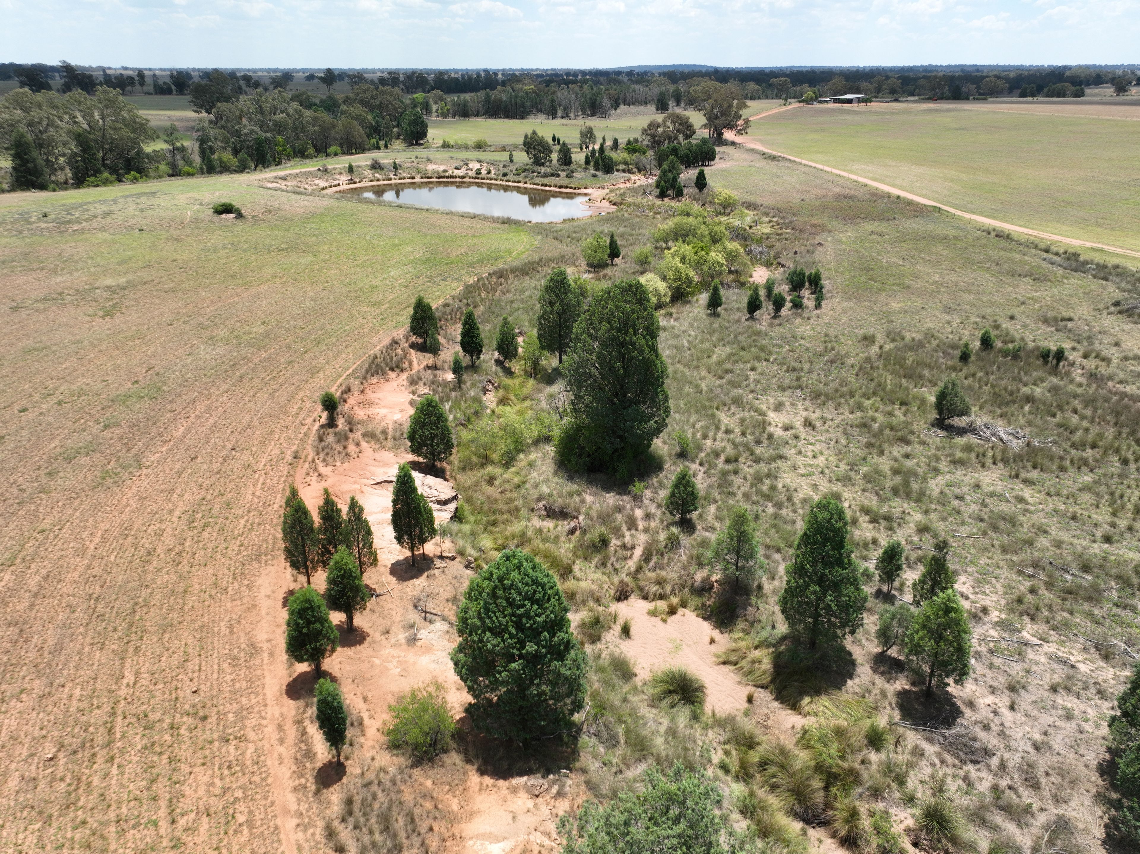 'Illapa' 238L Narromine Road — photo 13 of 30