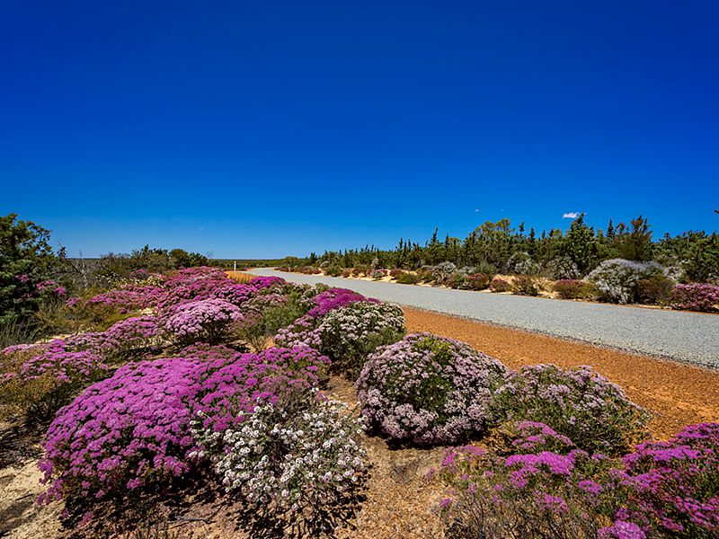 2 Ranch Court, Kalbarri WA 6536