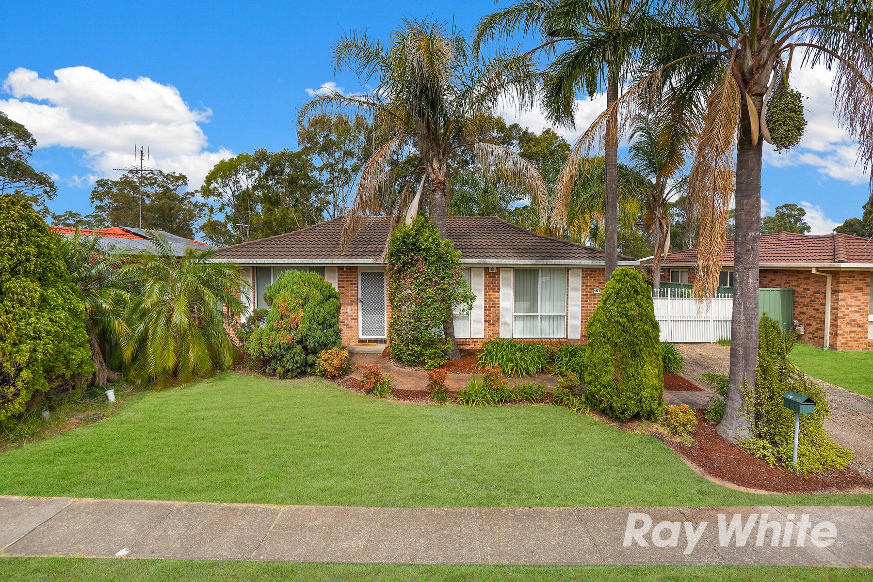 157 Colebee Crescent, Hassall Grove, NSW 2761 House for Rent St Marys, St Clair & Rooty Hill
