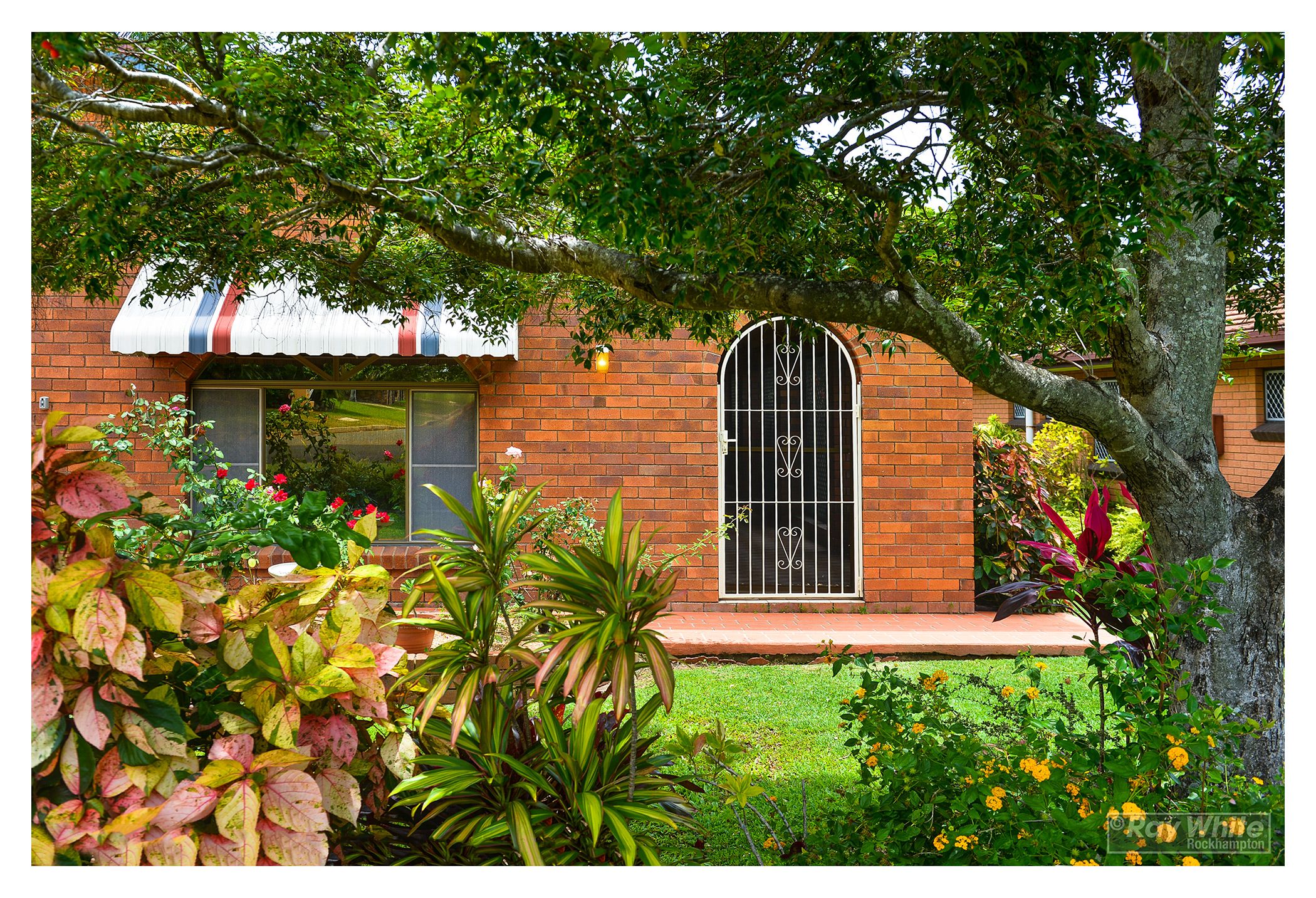 449 EICHELBERGER Street, Frenchville, QLD 4701
