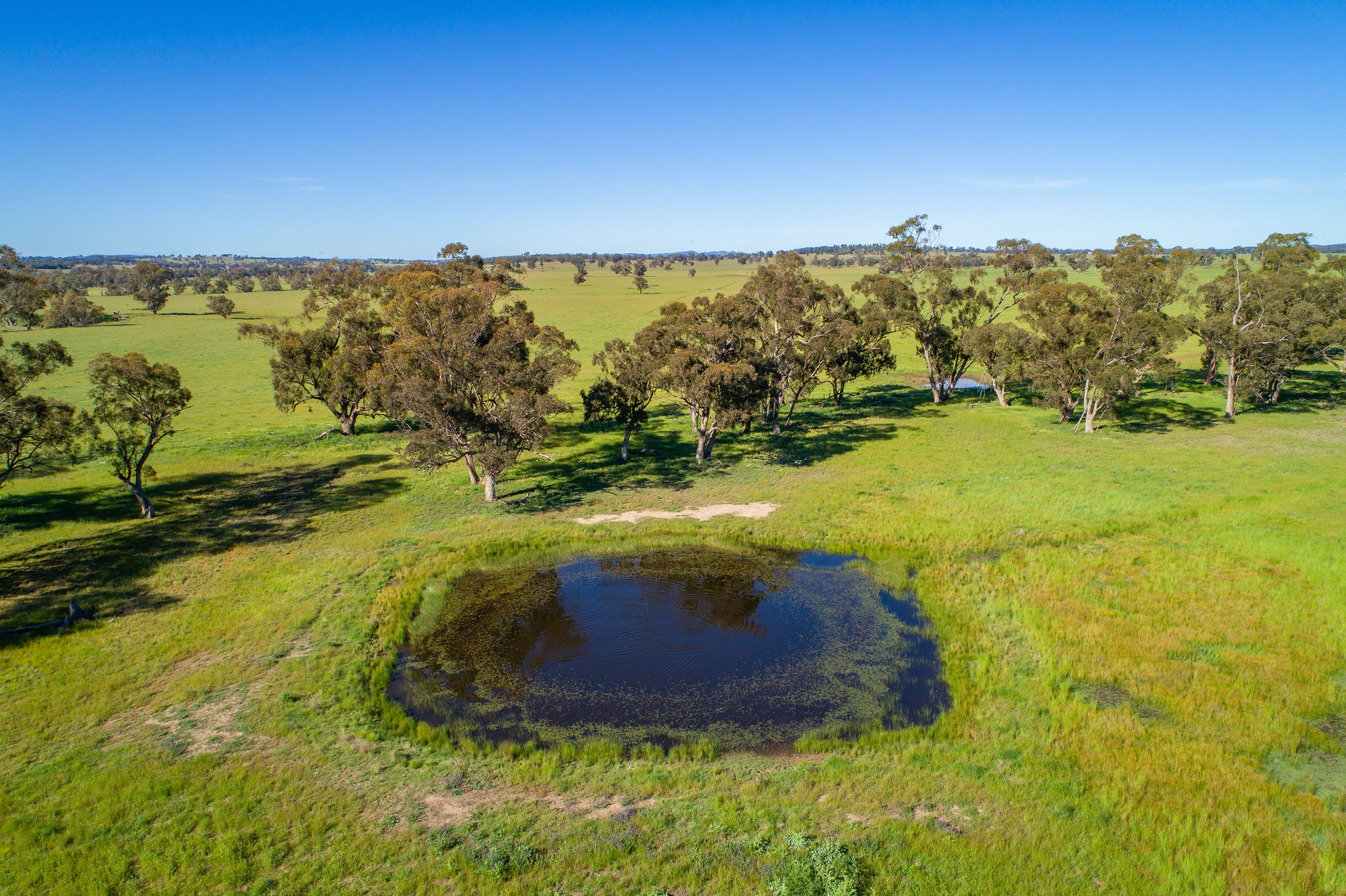 'South Merton' 166 Obley Road, Dubbo, NSW 2830 Sold Rural Mixed