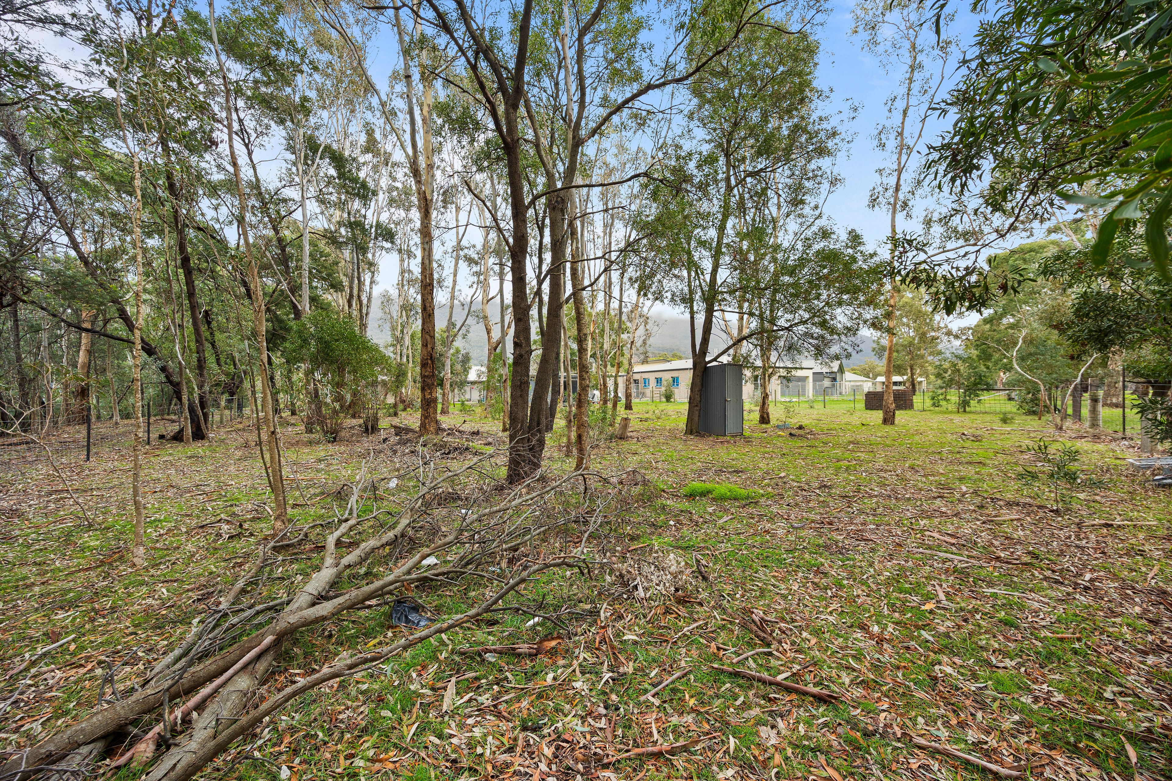 24 Clematis Drive — photo 9 of 10