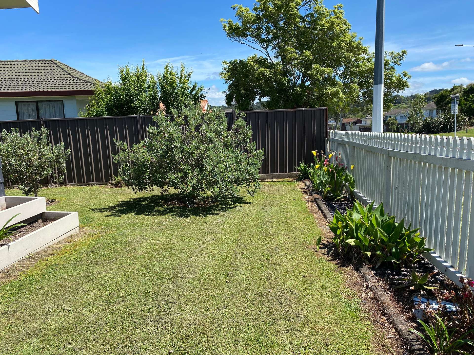 194 Waitemata Drive photo 5