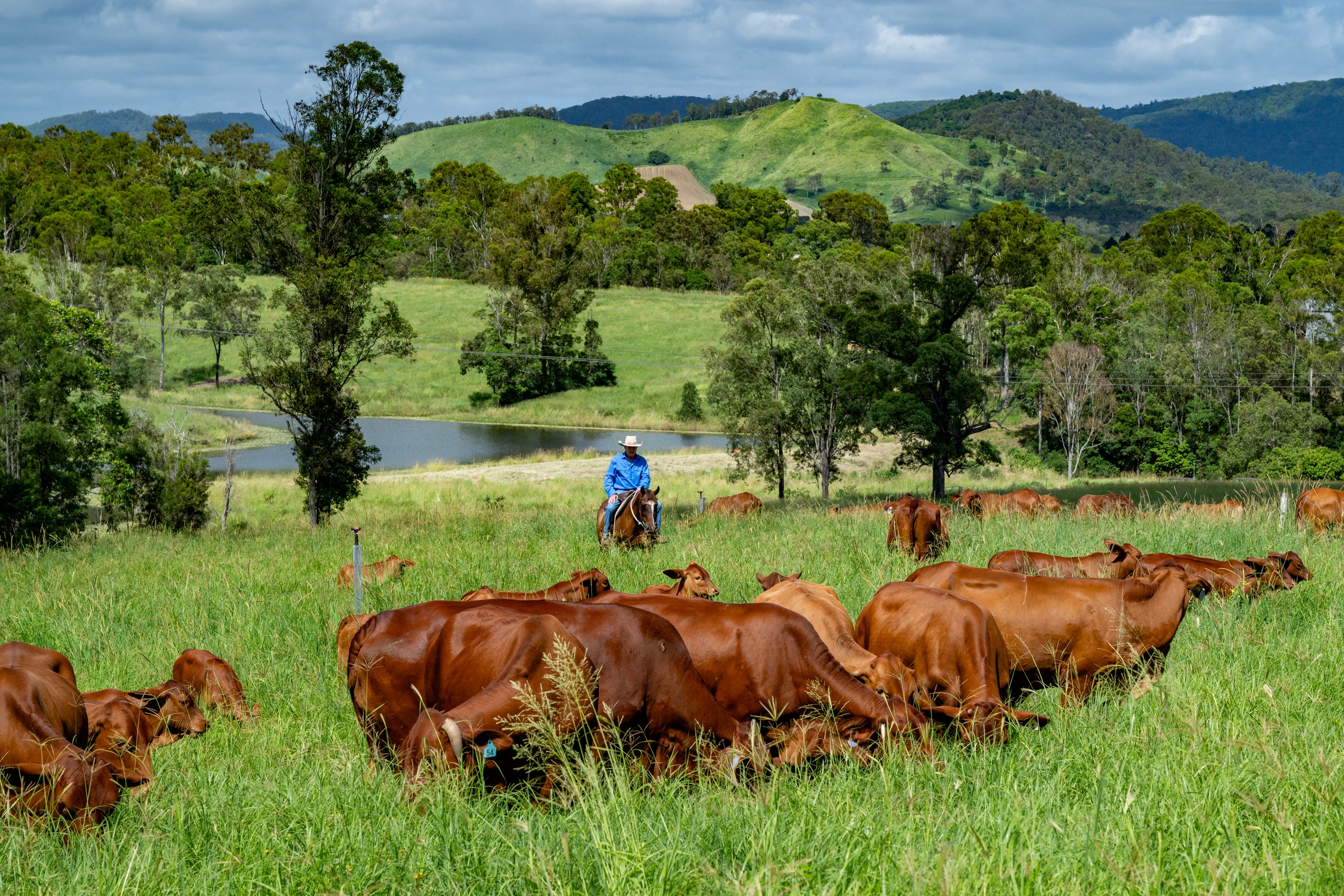273 Mooloo Road, Mooloo, QLD 4570