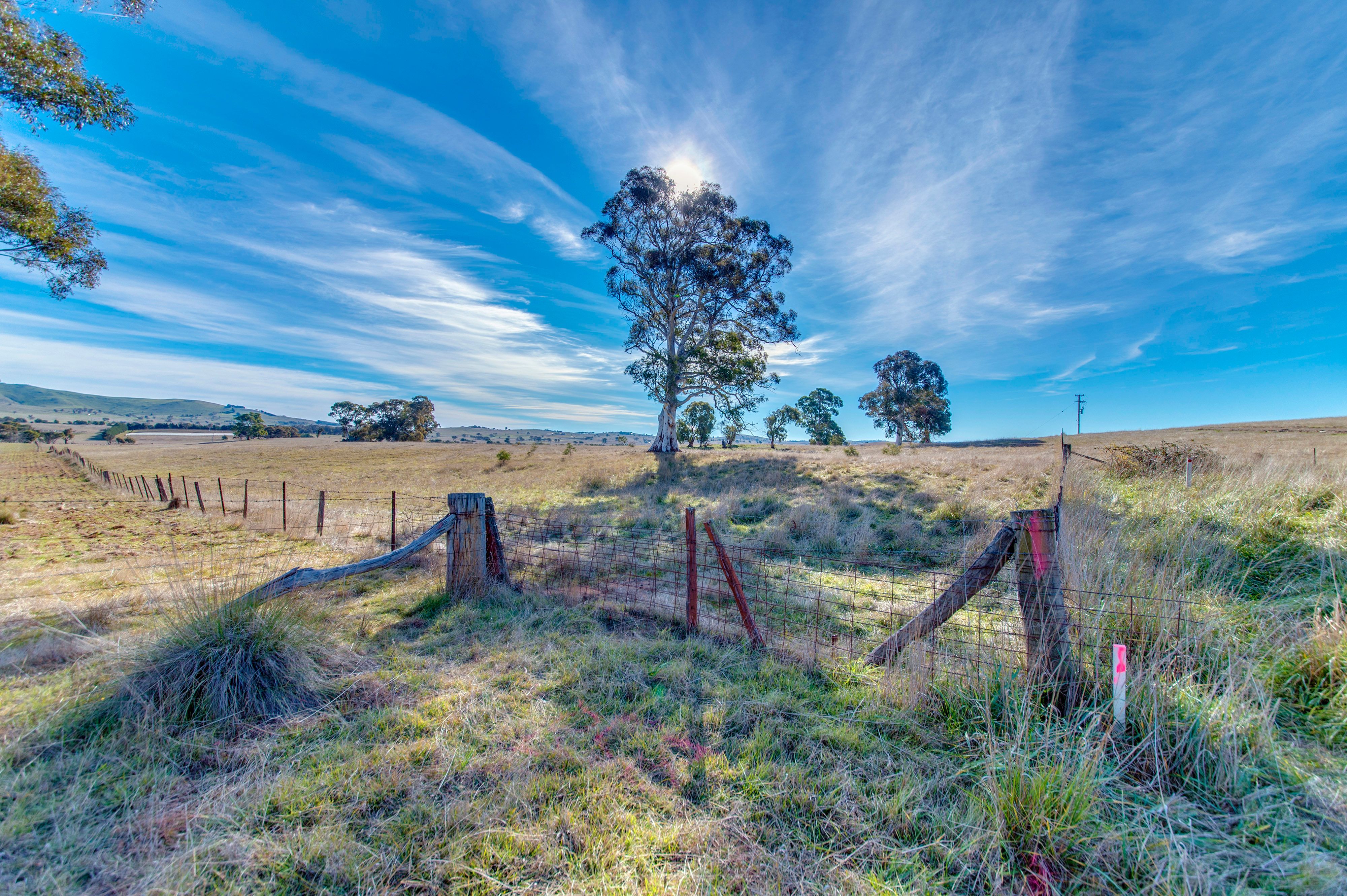 Lot 1 Allen Road, Springrange, NSW 2618