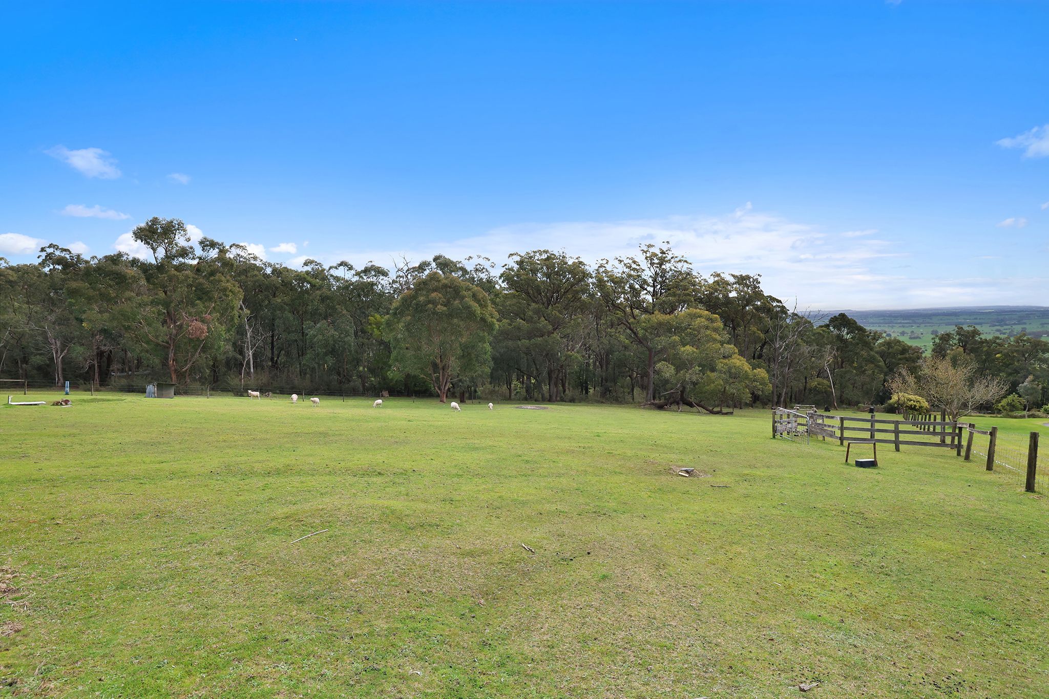 88 Melaleuca Drive — photo 28 of 30