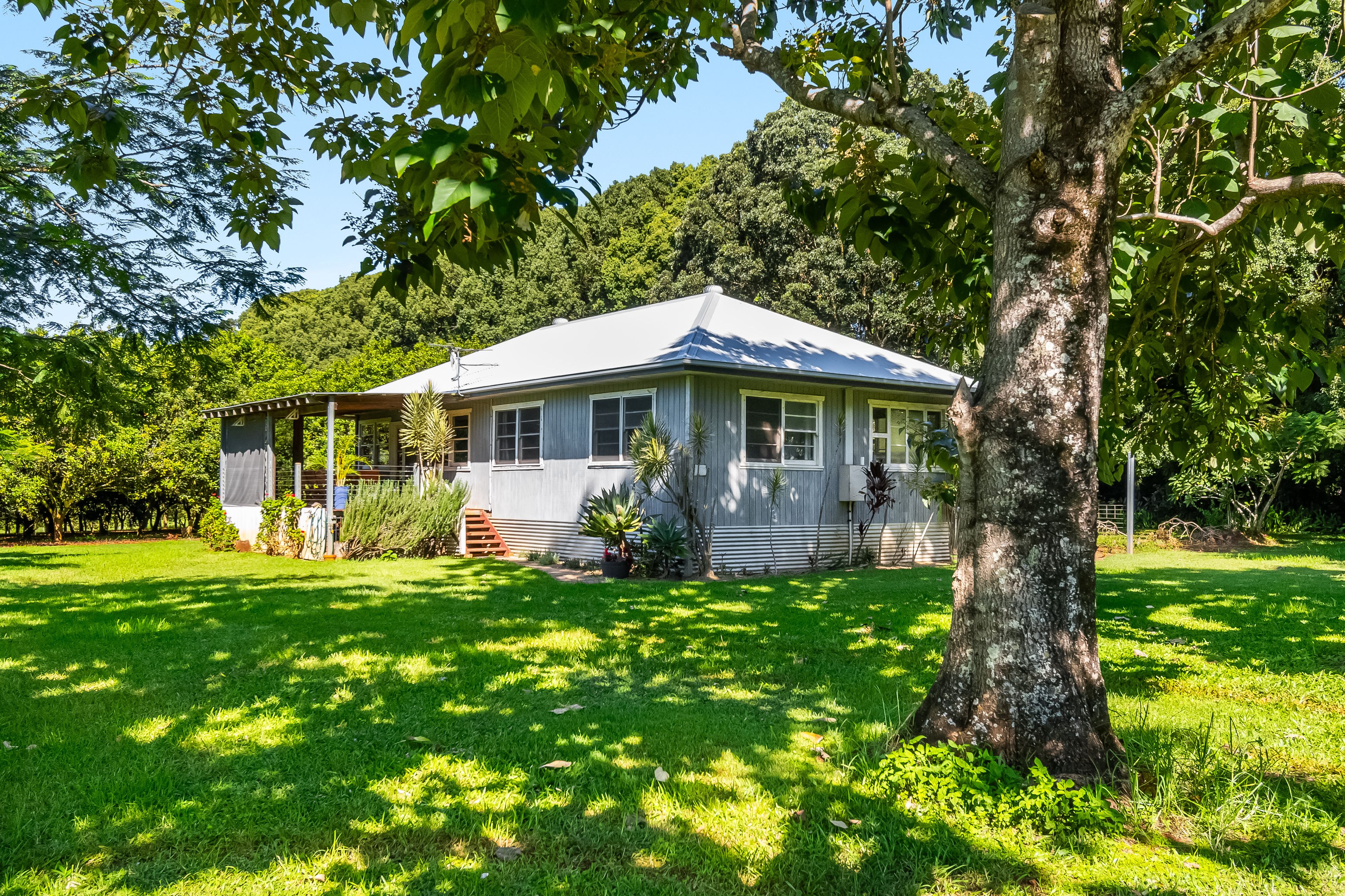250 Dalwood Road — photo from Ray White Alstonville