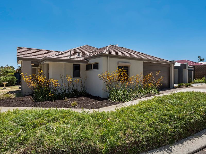 17 Laurina Turn, Baldivis, WA 6171