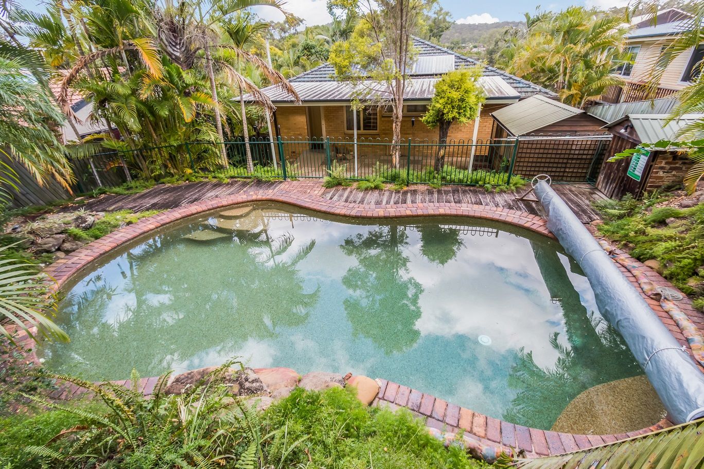 43 Dobbs Street, Holland Park West, QLD 4121
