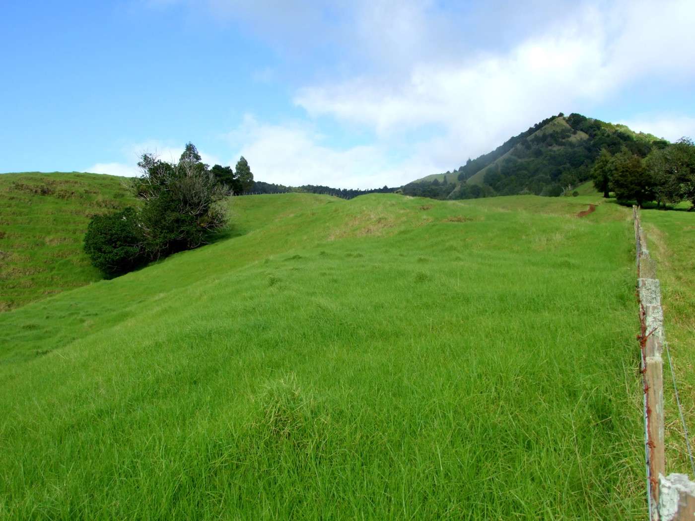 185 Takahue Saddle Road photo 4