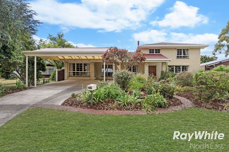 53 Hamilton Road, Fairview Park SA 5126