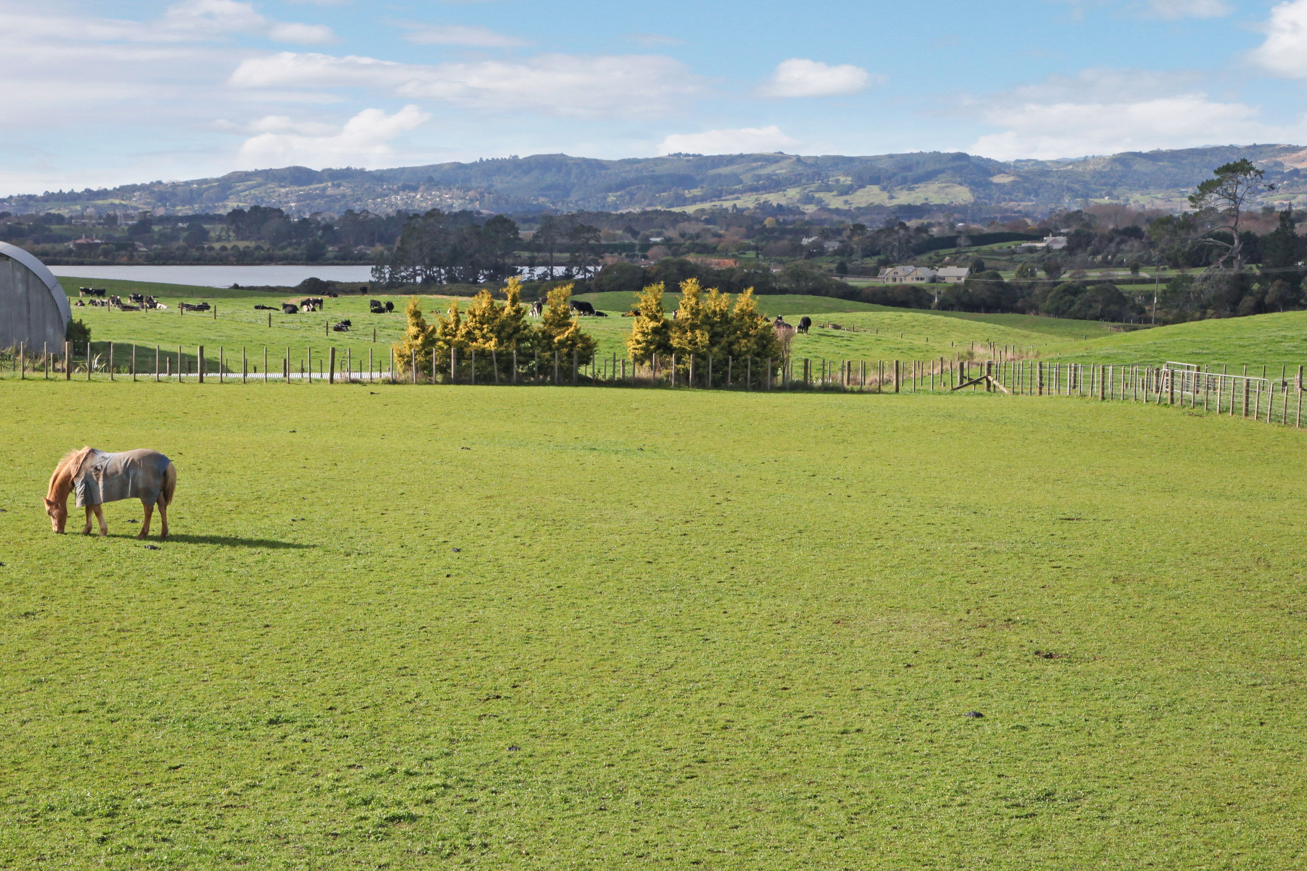 Lot 1 163 Walters Road, Karaka, Franklin