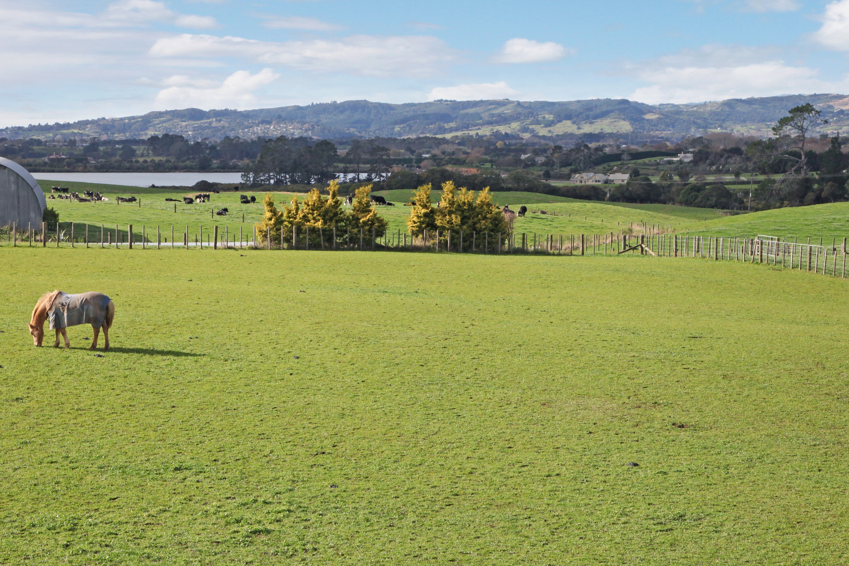 Lot 1 163 Walters Road, Karaka, Franklin