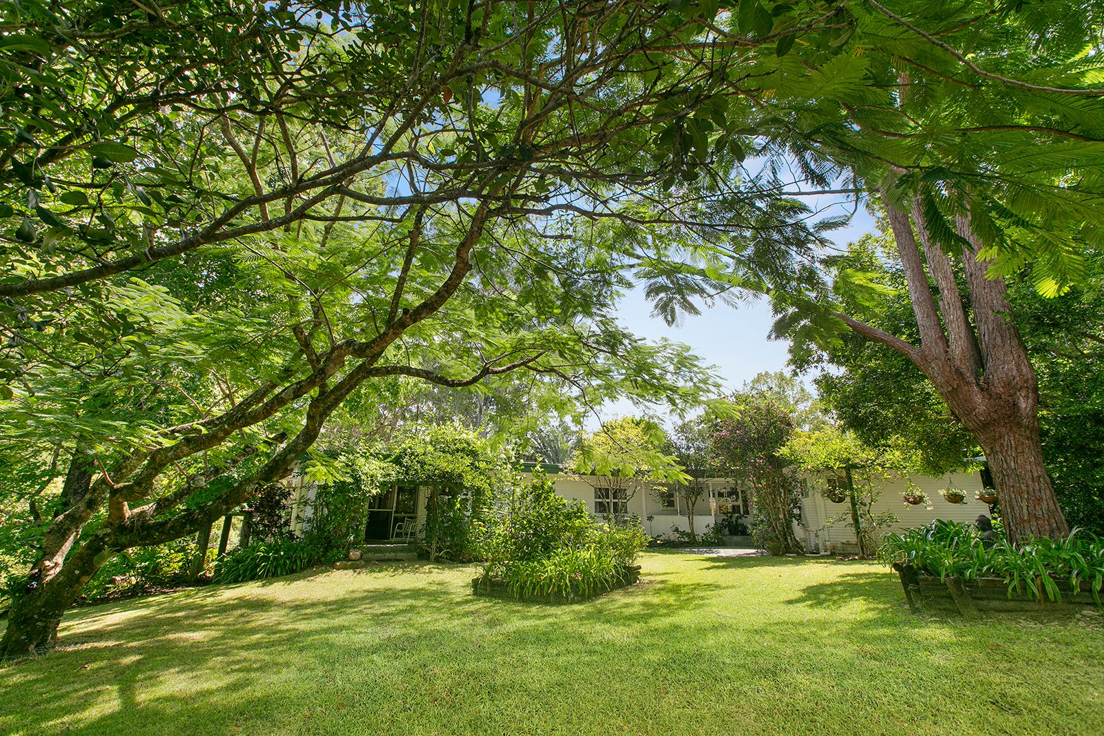 407 Ilkley Road, Ilkley, QLD 4554