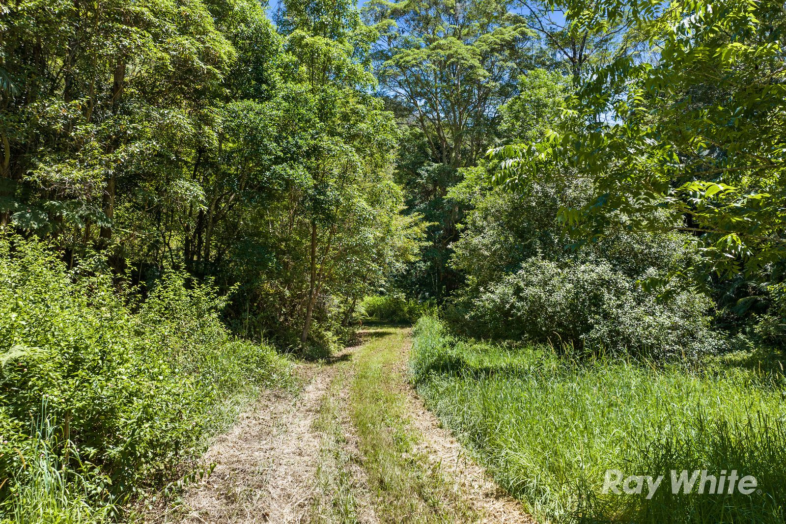 131 Porters Road — photo 4 of 13