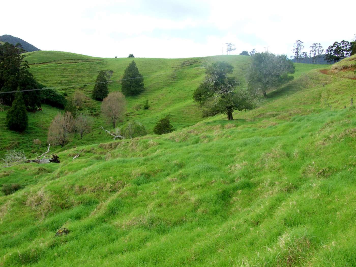 185 Takahue Saddle Road photo 1