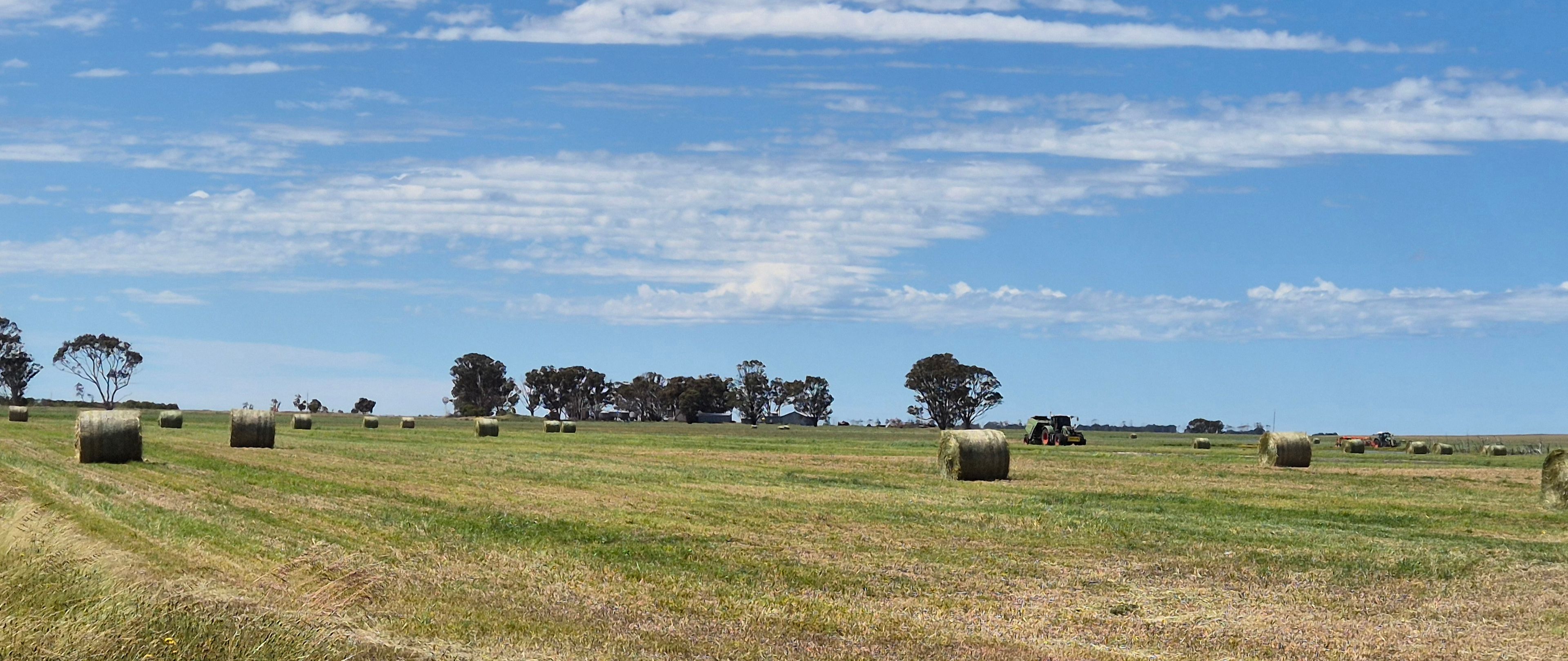 Ratio Downs, Degrussa Road — photo from Ray White Rural (WA)