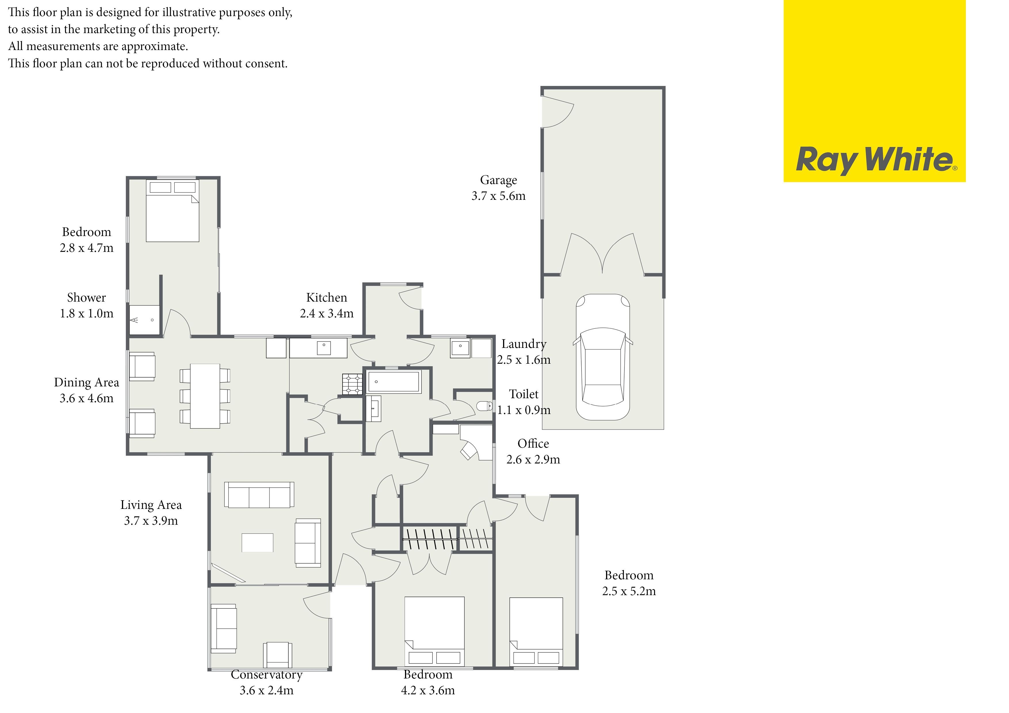 11 Nelson Street, Hamilton East, Hamilton City