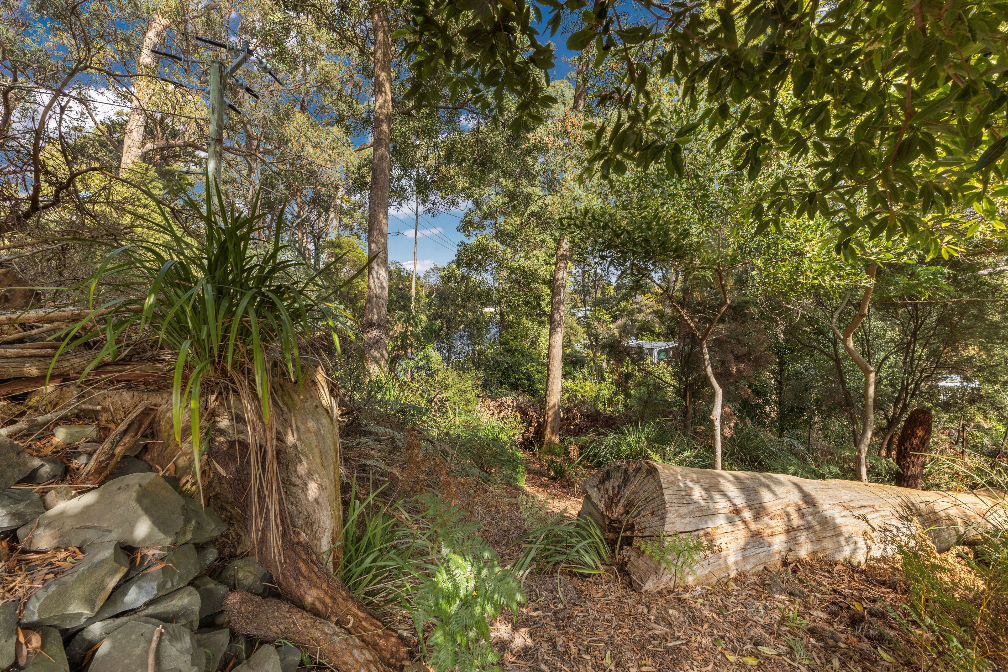 30 Elfrida Avenue — photo 24 of 24
