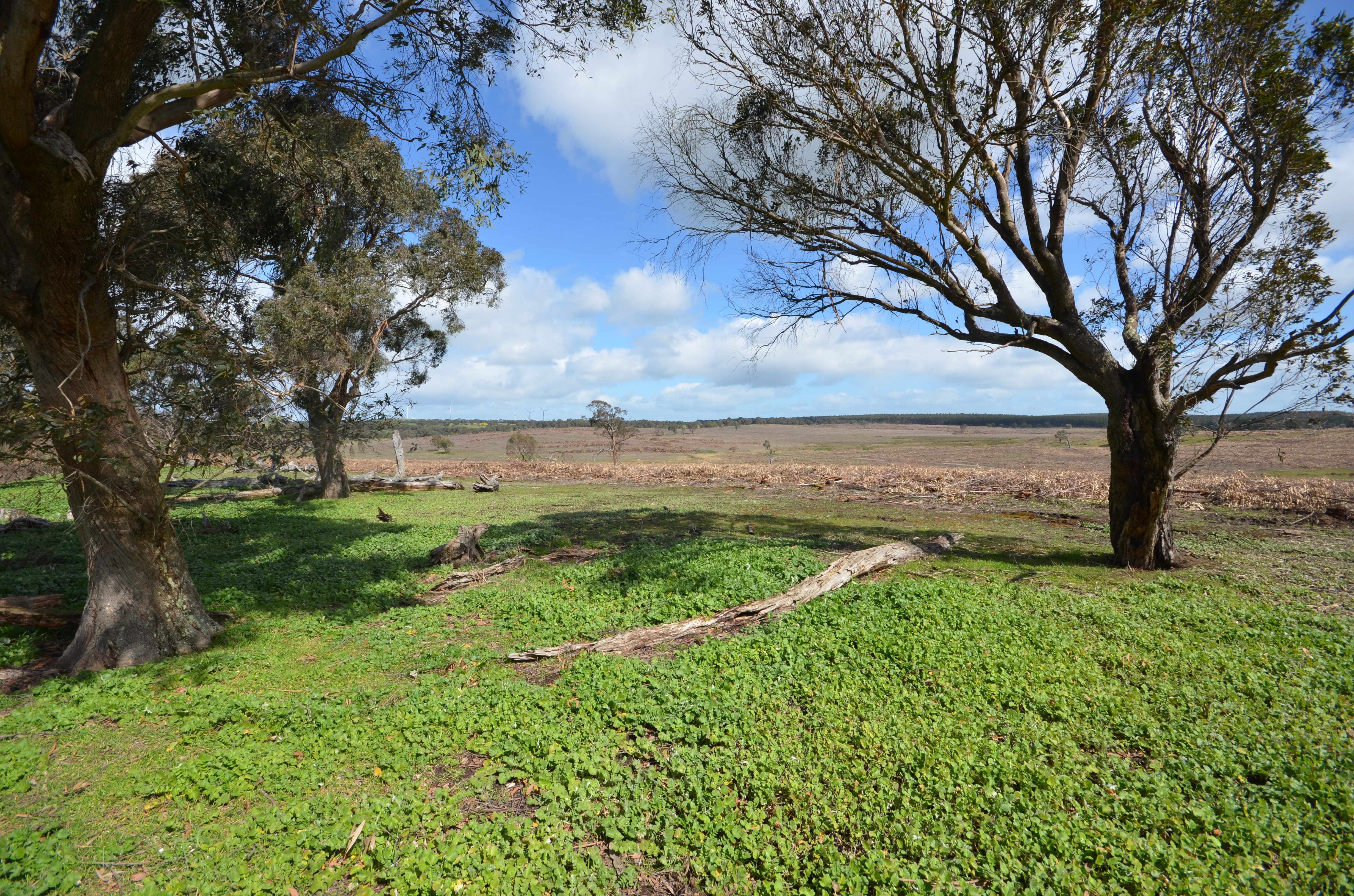Bunninyong - Mount Mercer Road, GRENVILLE, VIC 3352