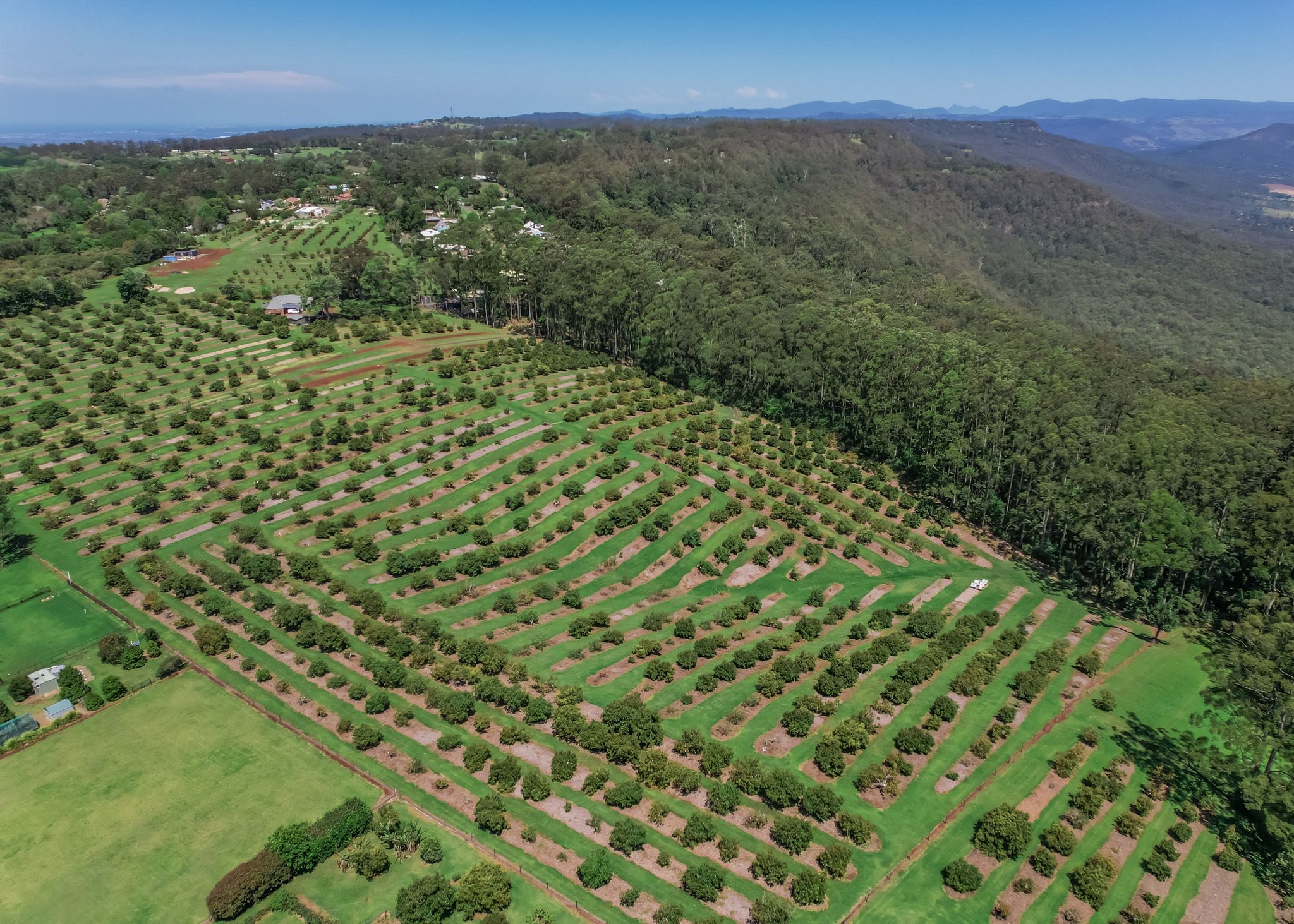 41-43 Manitzky Road, Tamborine Mountain QLD 4272