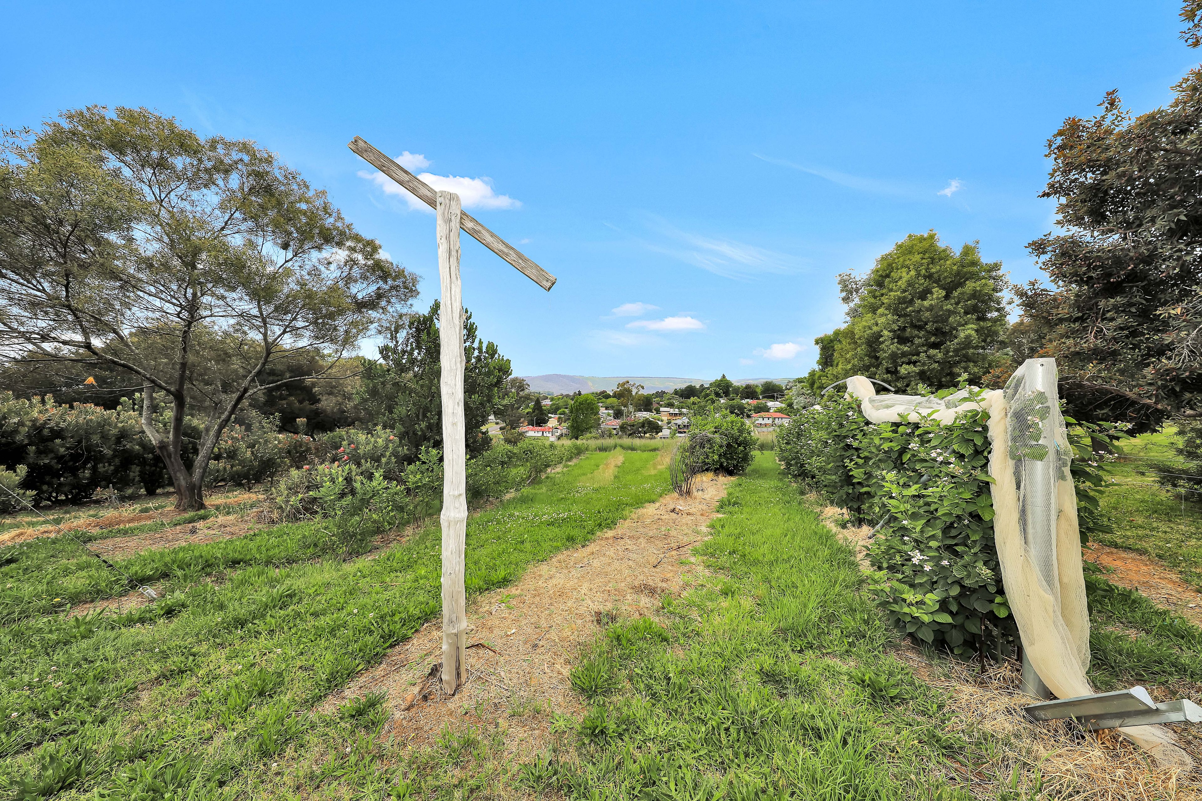 39 Mayday Road, Batlow, NSW 2730 Land for Sale Ray White Tumut