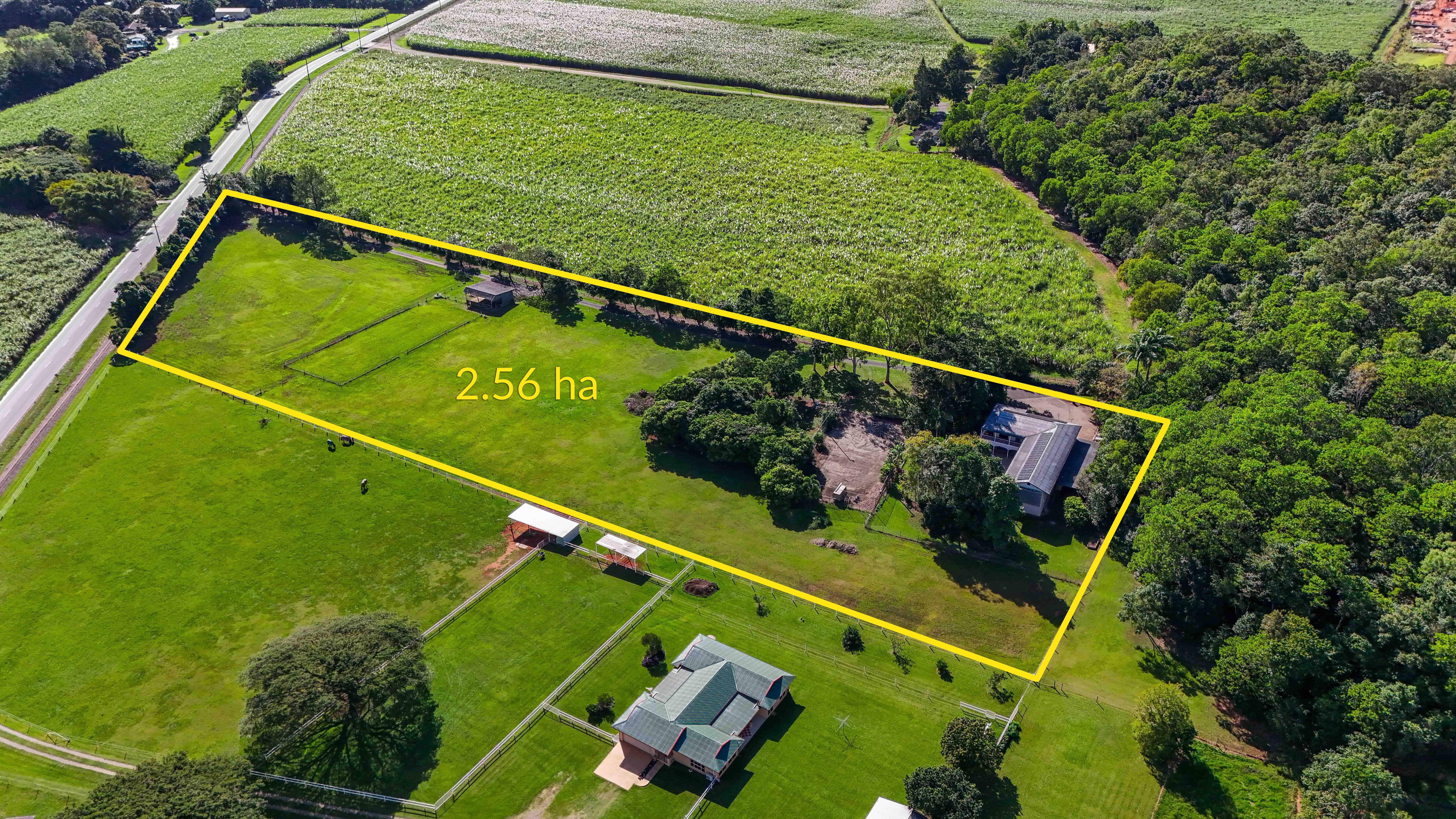 163 Maitland Road, Gordonvale, QLD 4865