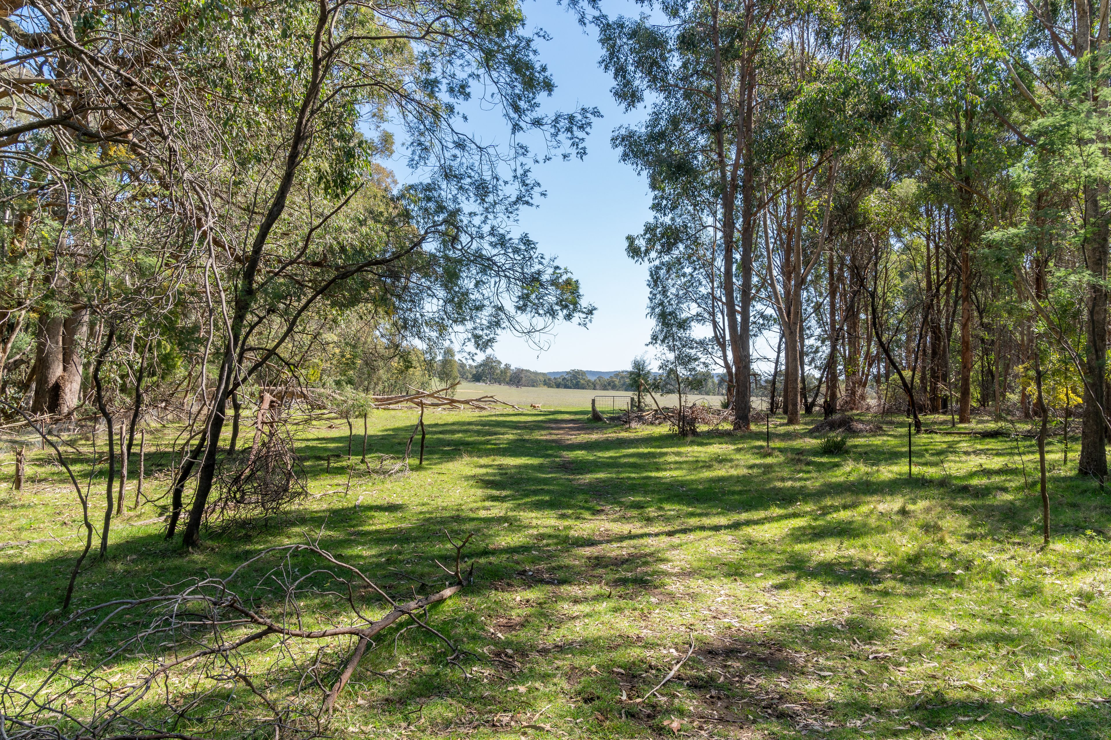 Lot 1 & 2 Bonnie Doon Road, Marraweeney, VIC 3669