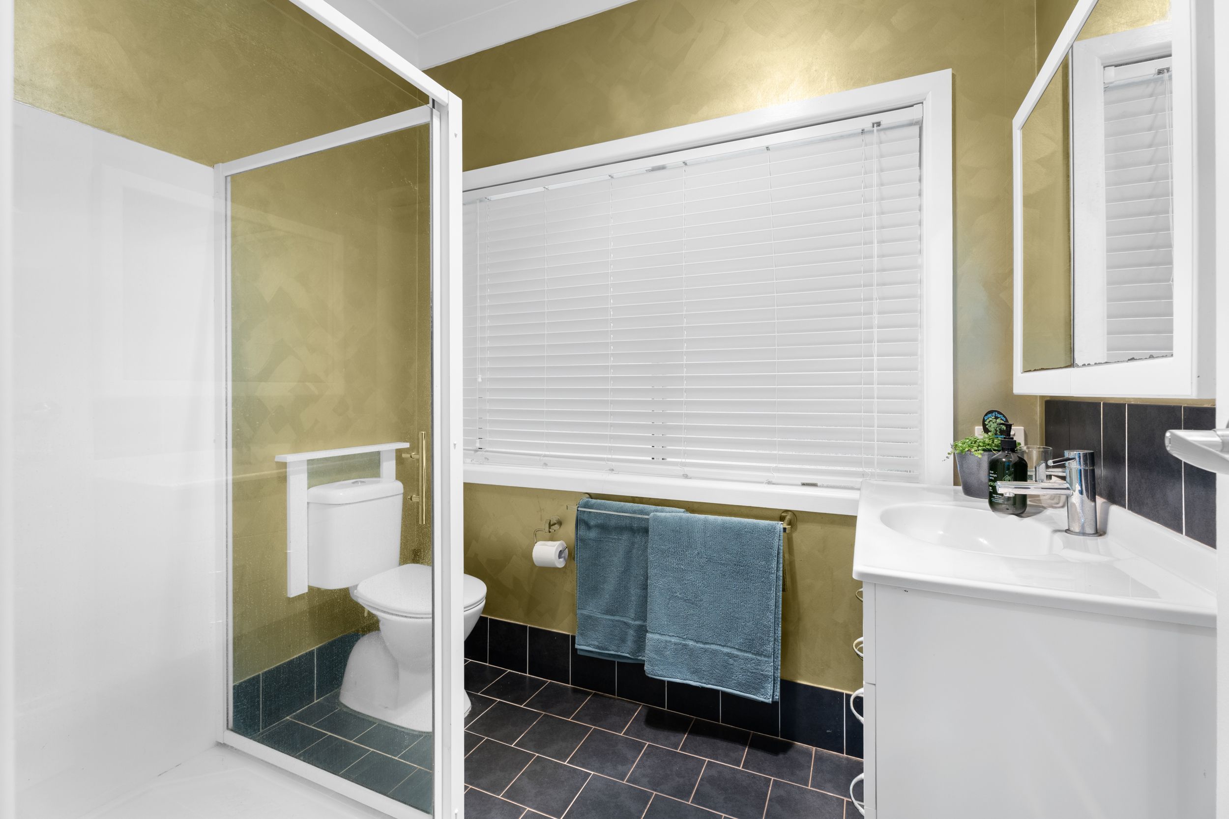 19 Breyley Road, Cambridge Park, NSW