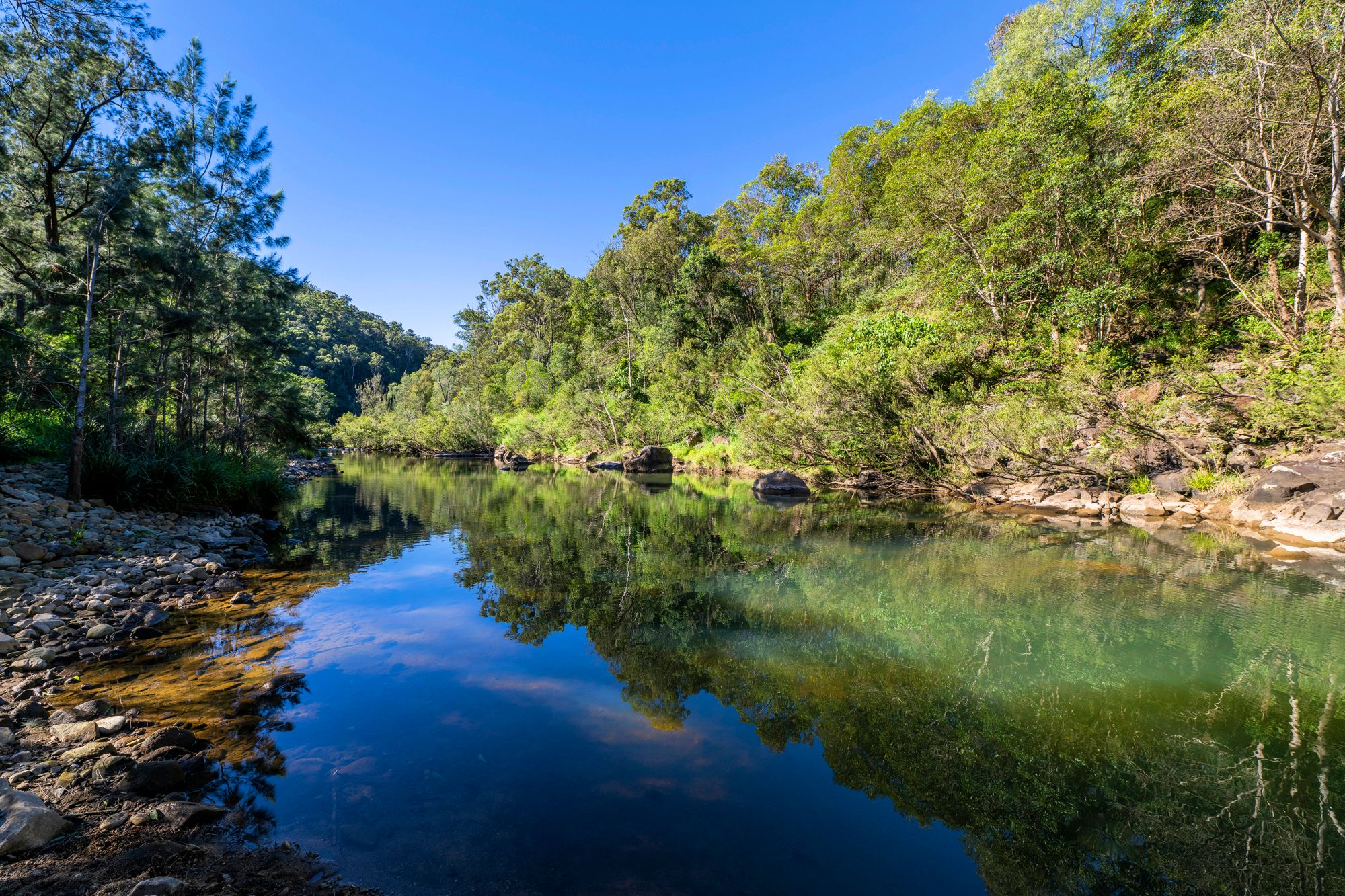 1142 Beaudesert-Nerang Road, Clagiraba, QLD 4211