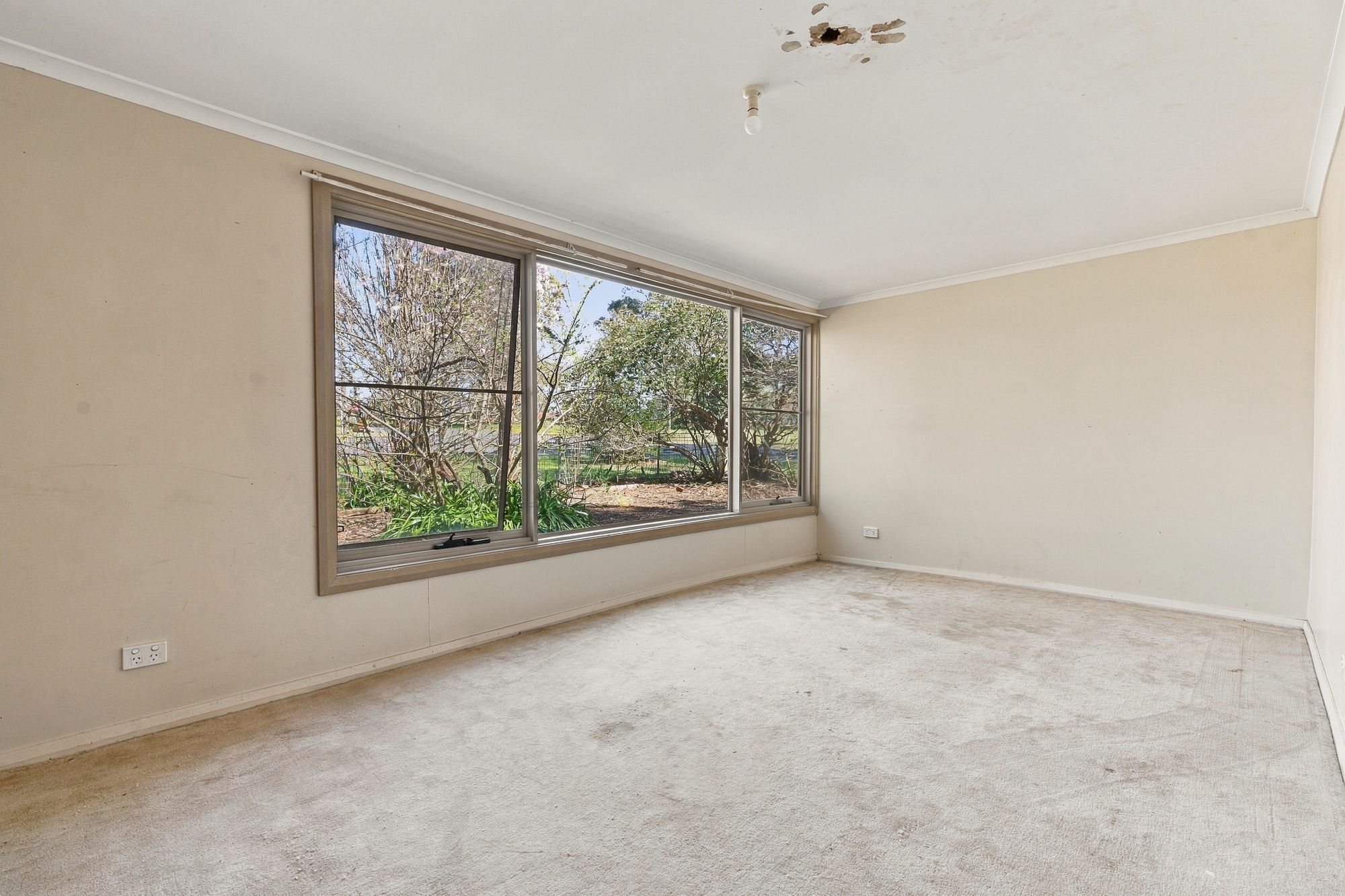 24 George Street — photo 9 of 18