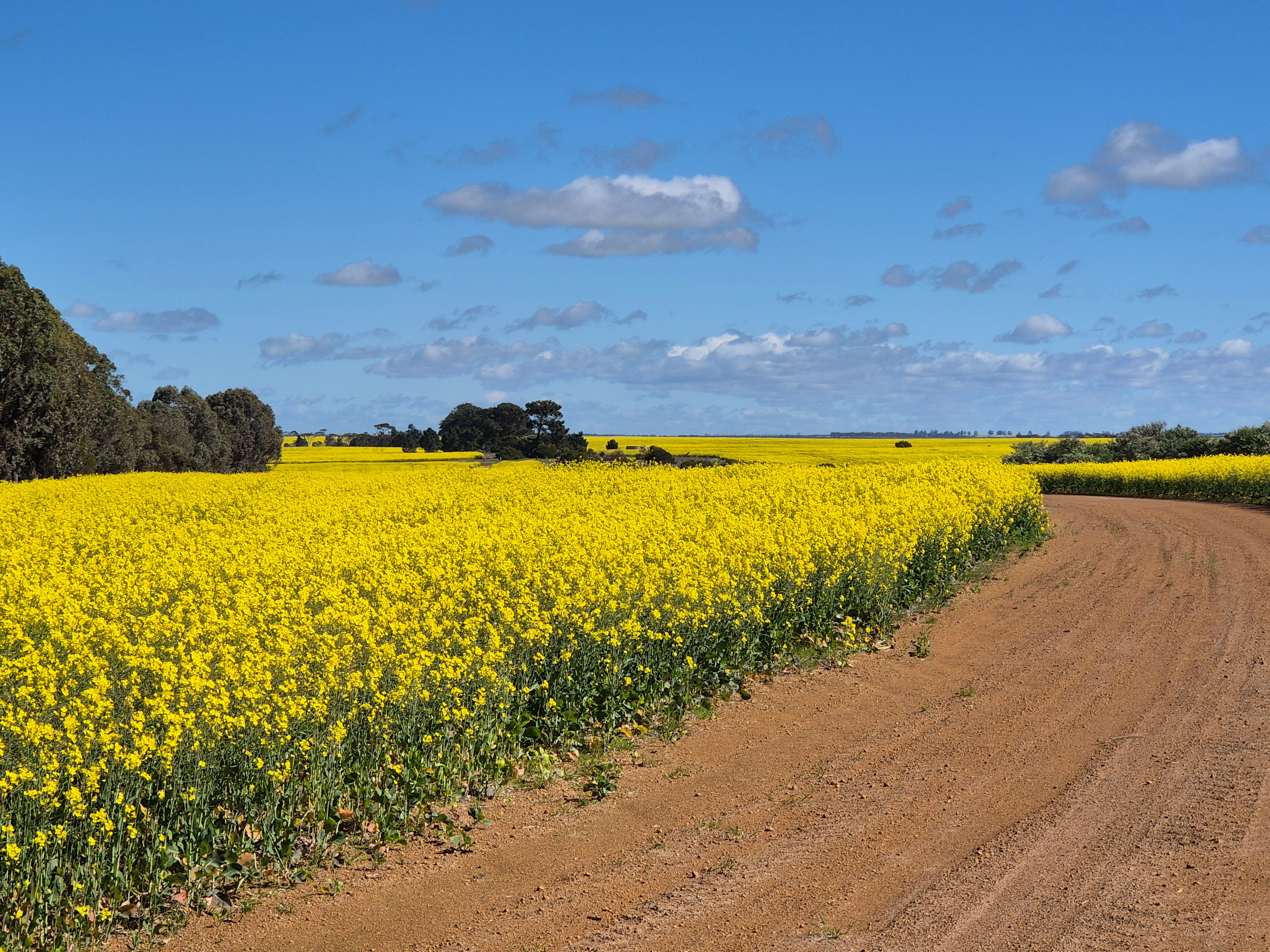 Lots 1021-1025 Oldfield and Mills Road, Munglinup, WA 6450