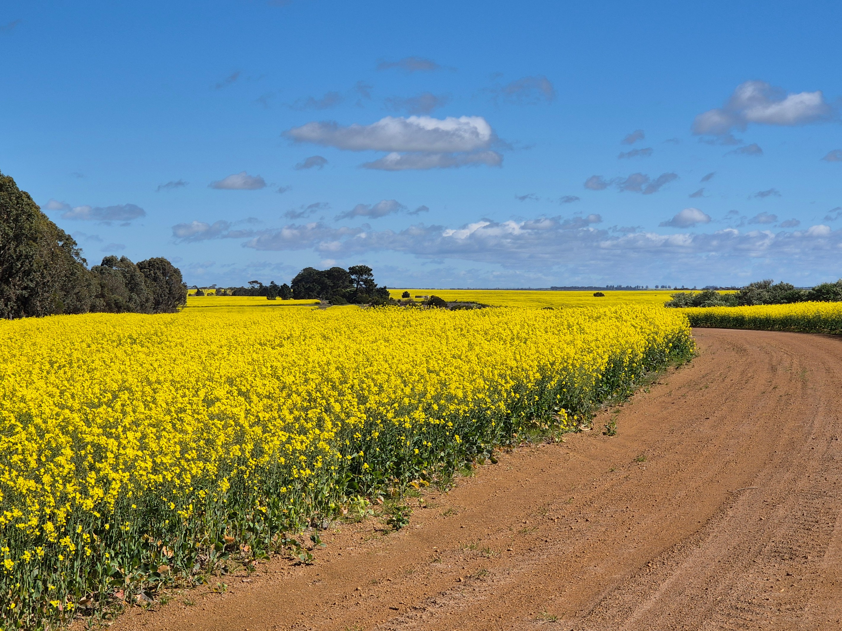 Lots 1021-1025 Oldfield and Mills Road, Munglinup, WA 6450