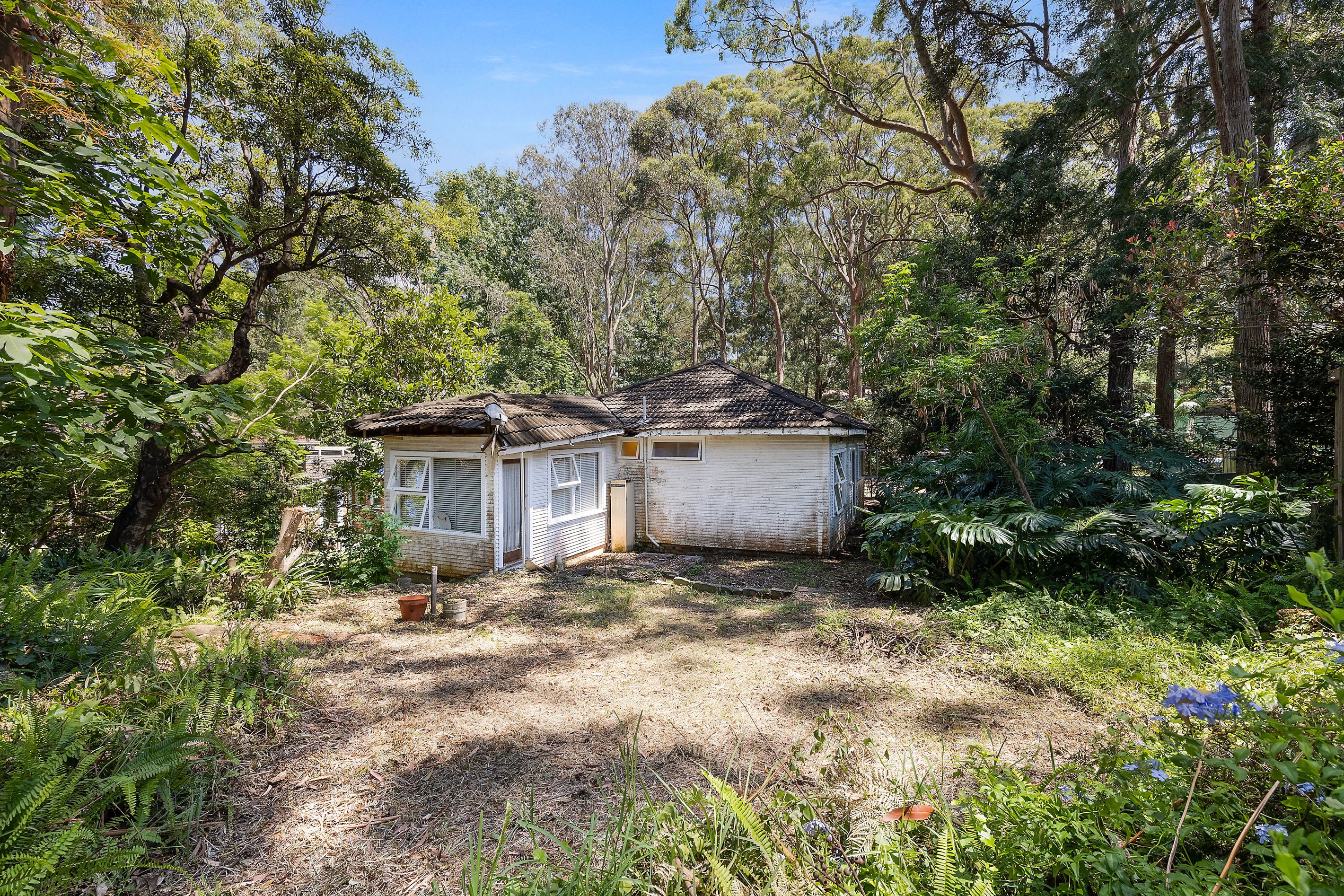62 Roland Avenue, Wahroonga, NSW 2076