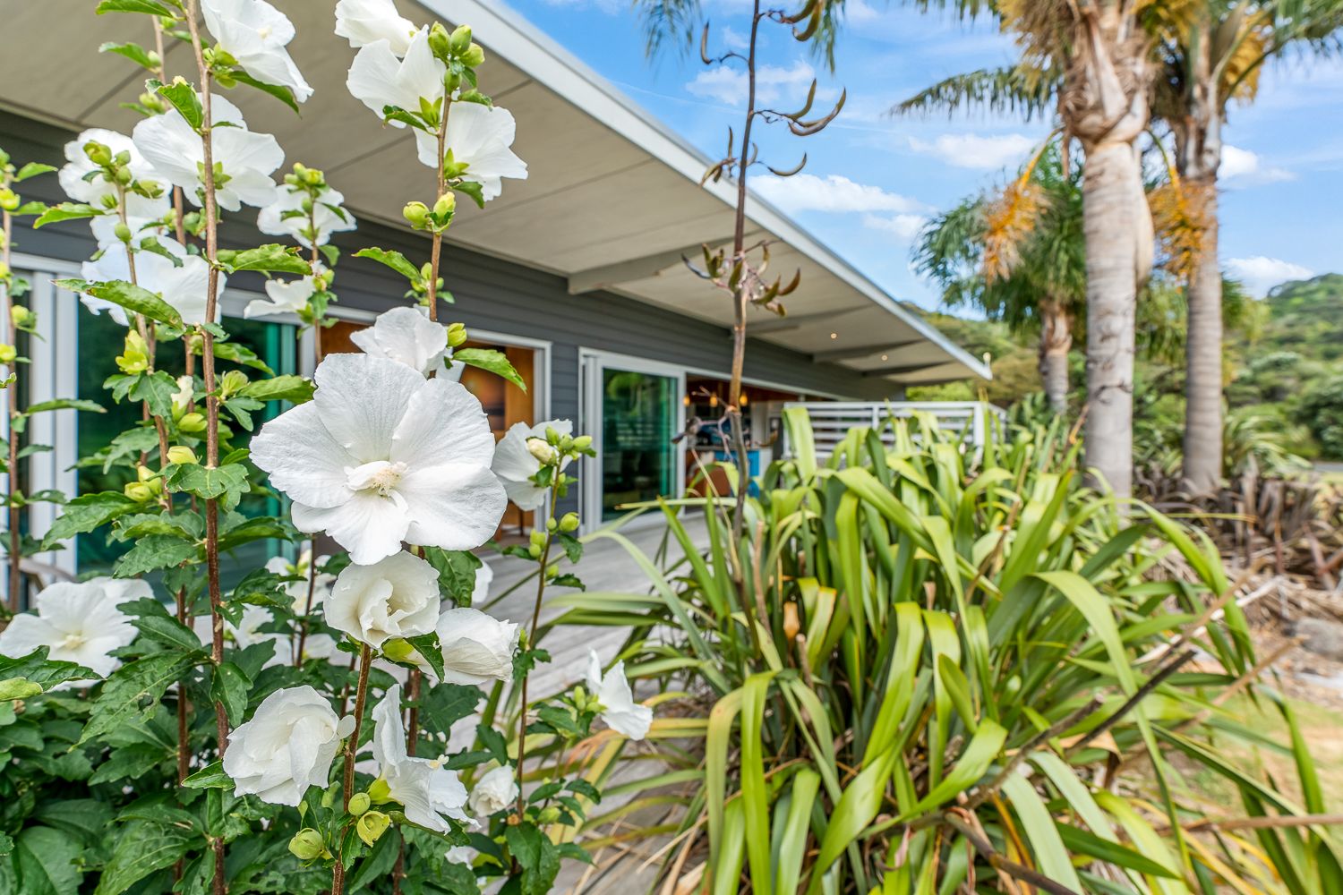 37 Lawson Drive, Tutukaka, Whangarei District